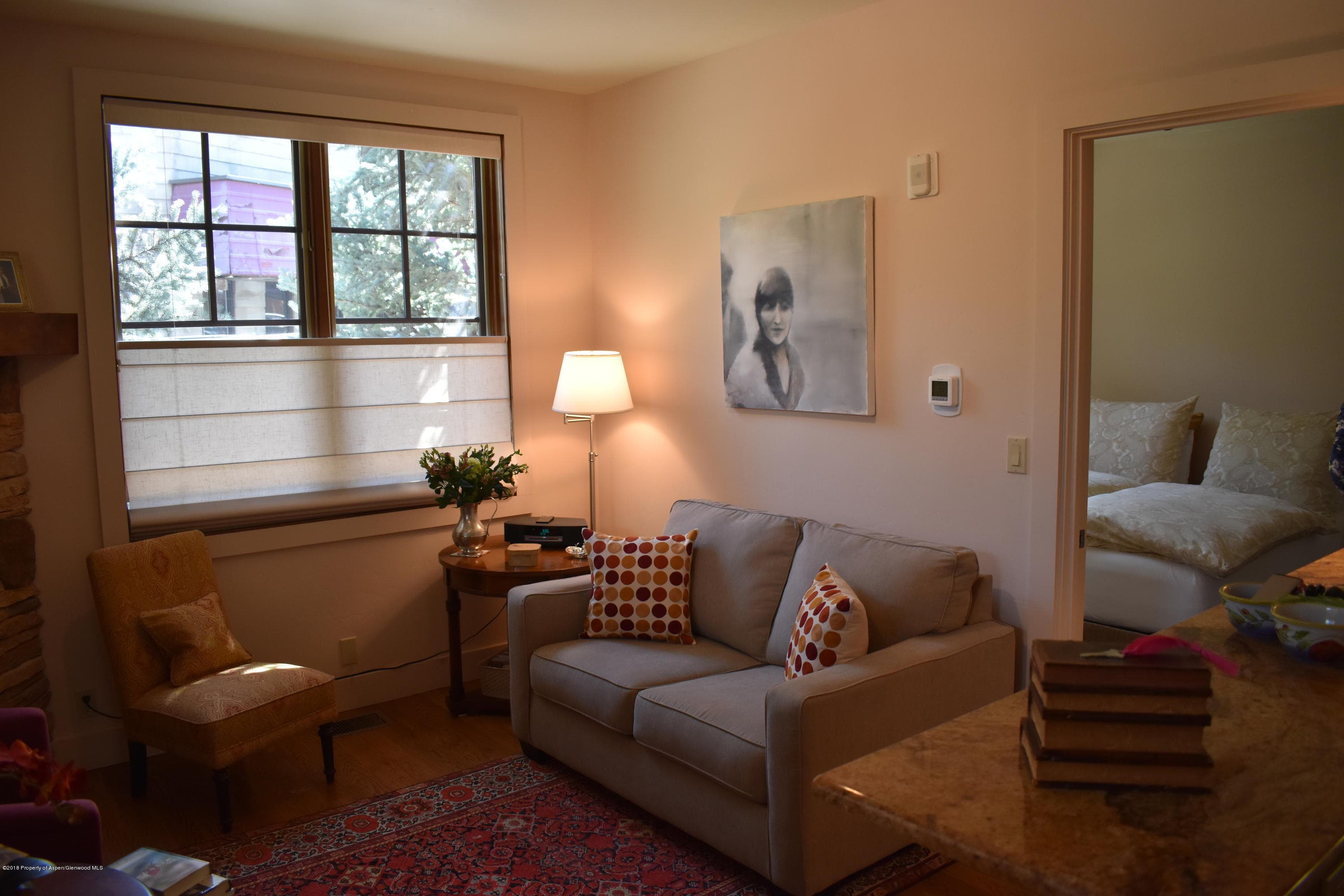 501 W Main Street A101, Aspen, CO 81611 - Photo 3