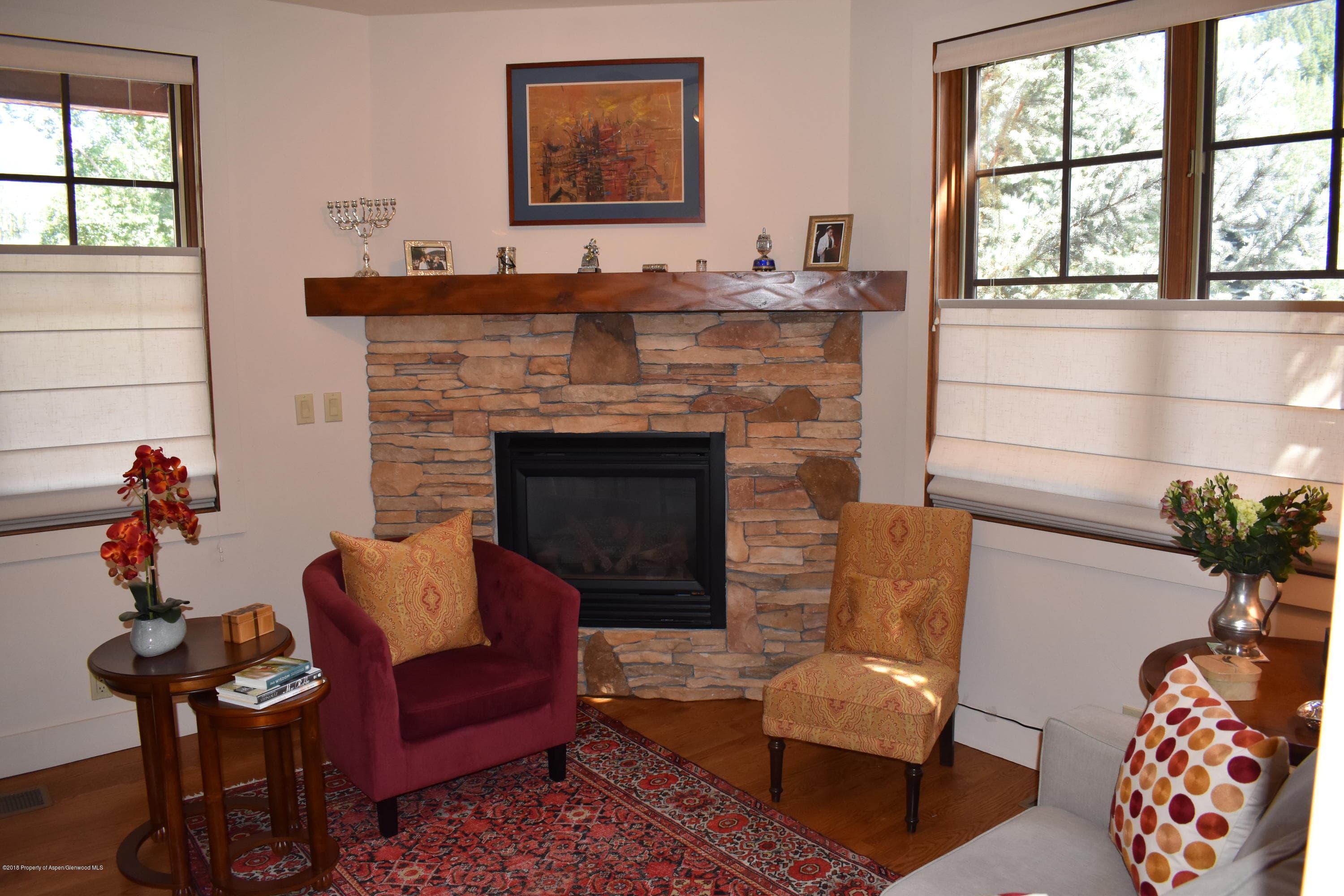 501 W Main Street A101, Aspen, CO 81611 - Photo 5