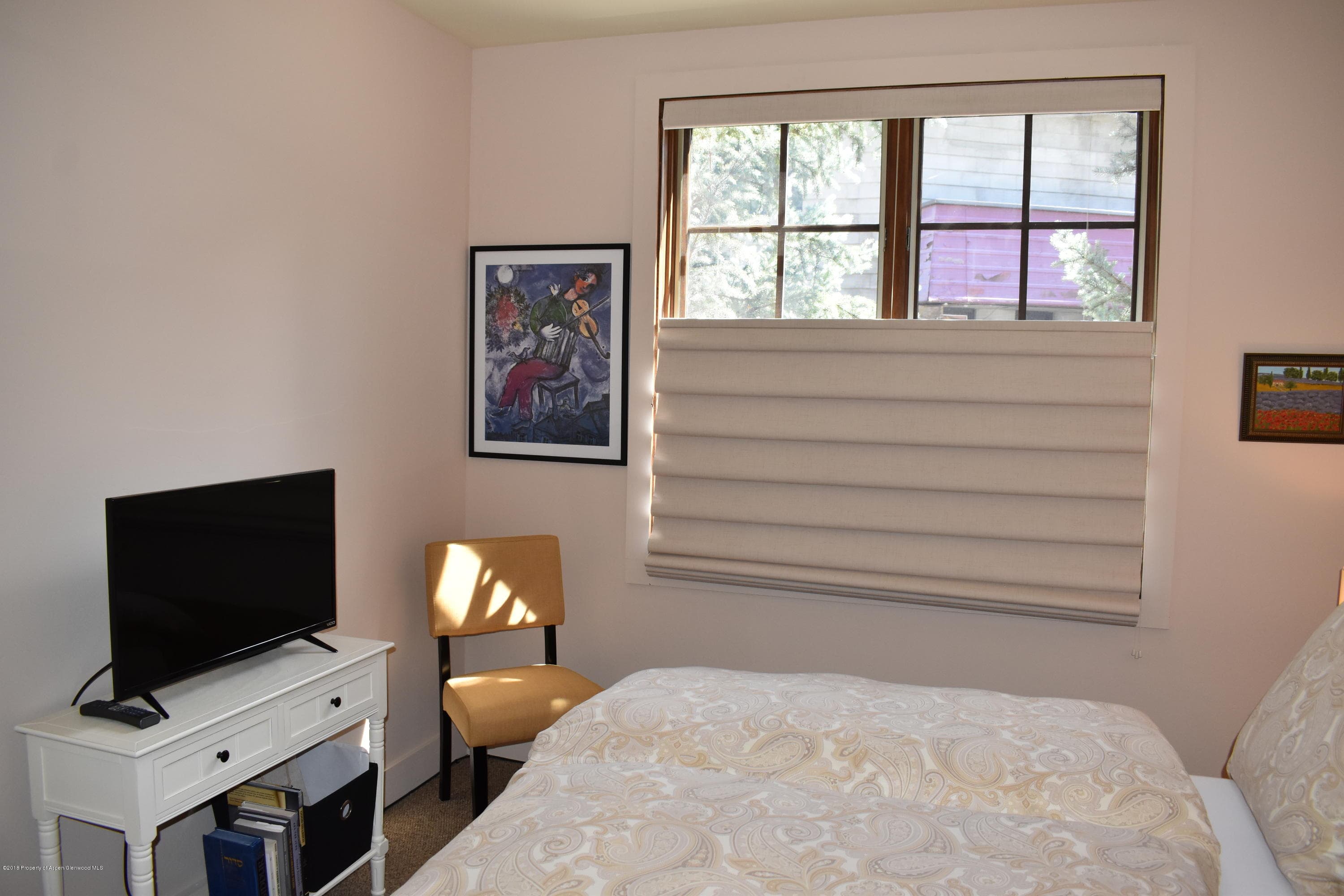 501 W Main Street A101, Aspen, CO 81611 - Photo 13