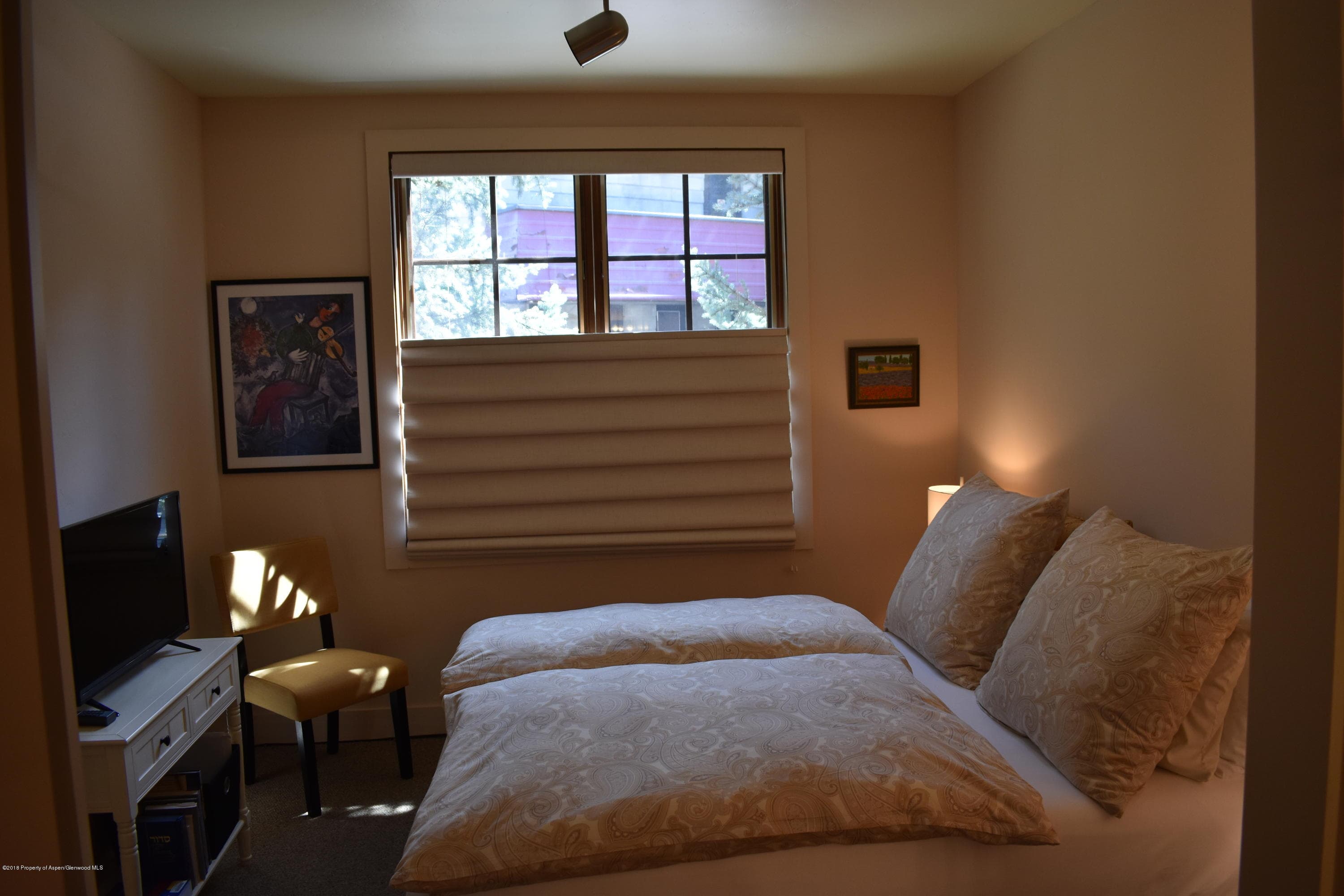 501 W Main Street A101, Aspen, CO 81611 - Photo 14