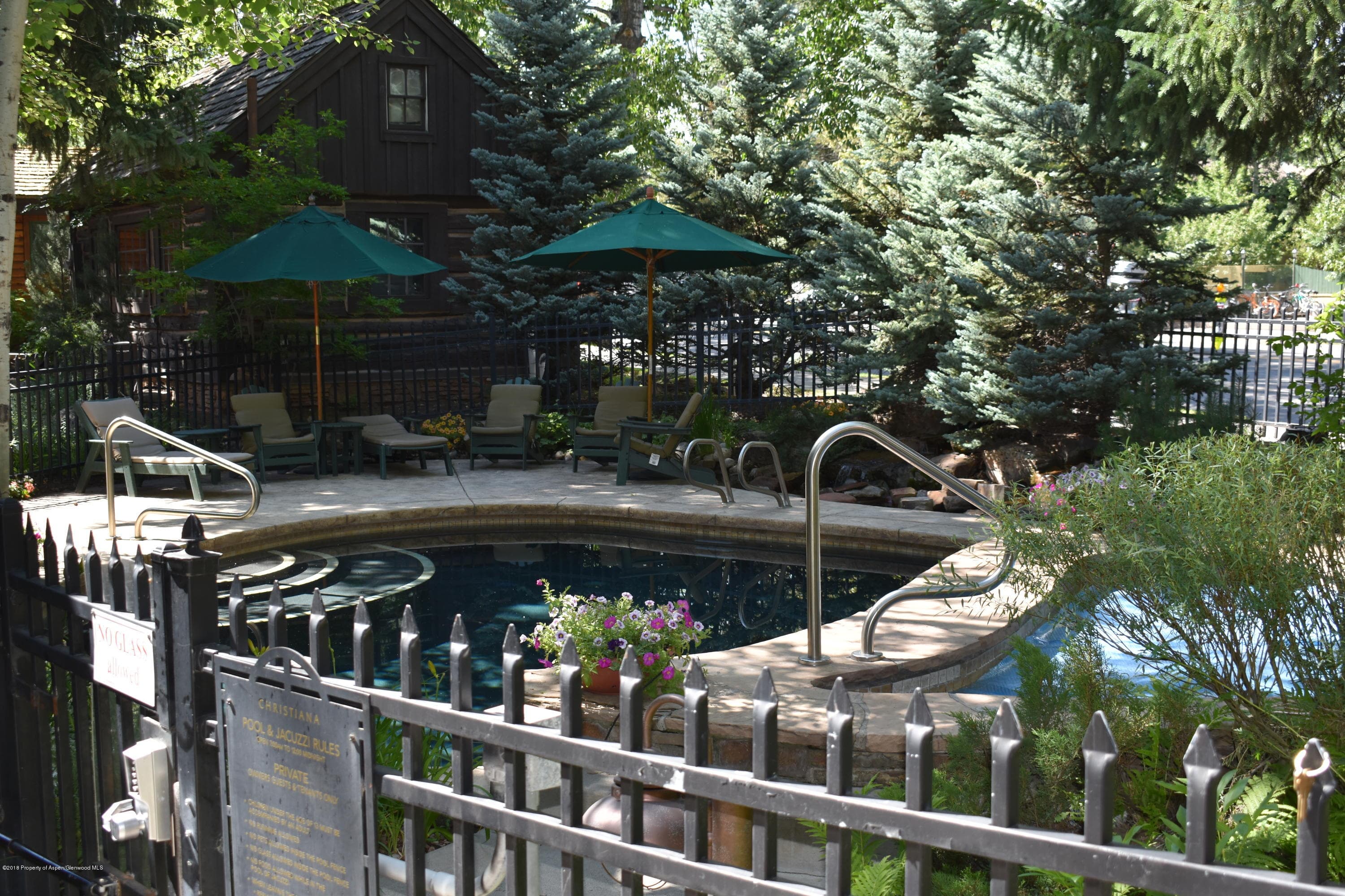 501 W Main Street A101, Aspen, CO 81611 - Photo 22