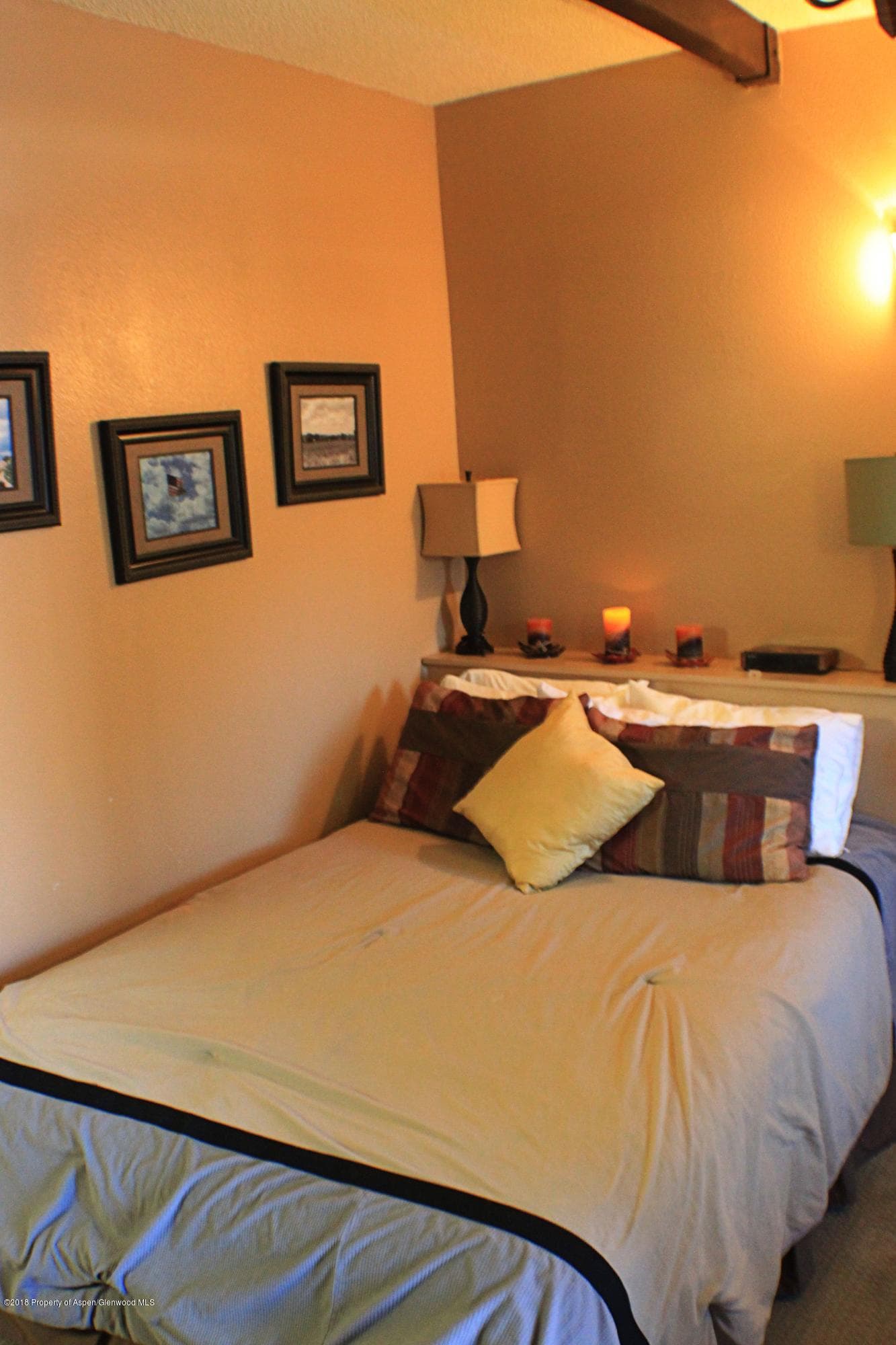 11101 County Road 117 G-2, Glenwood Springs, CO 81601 - Photo 4