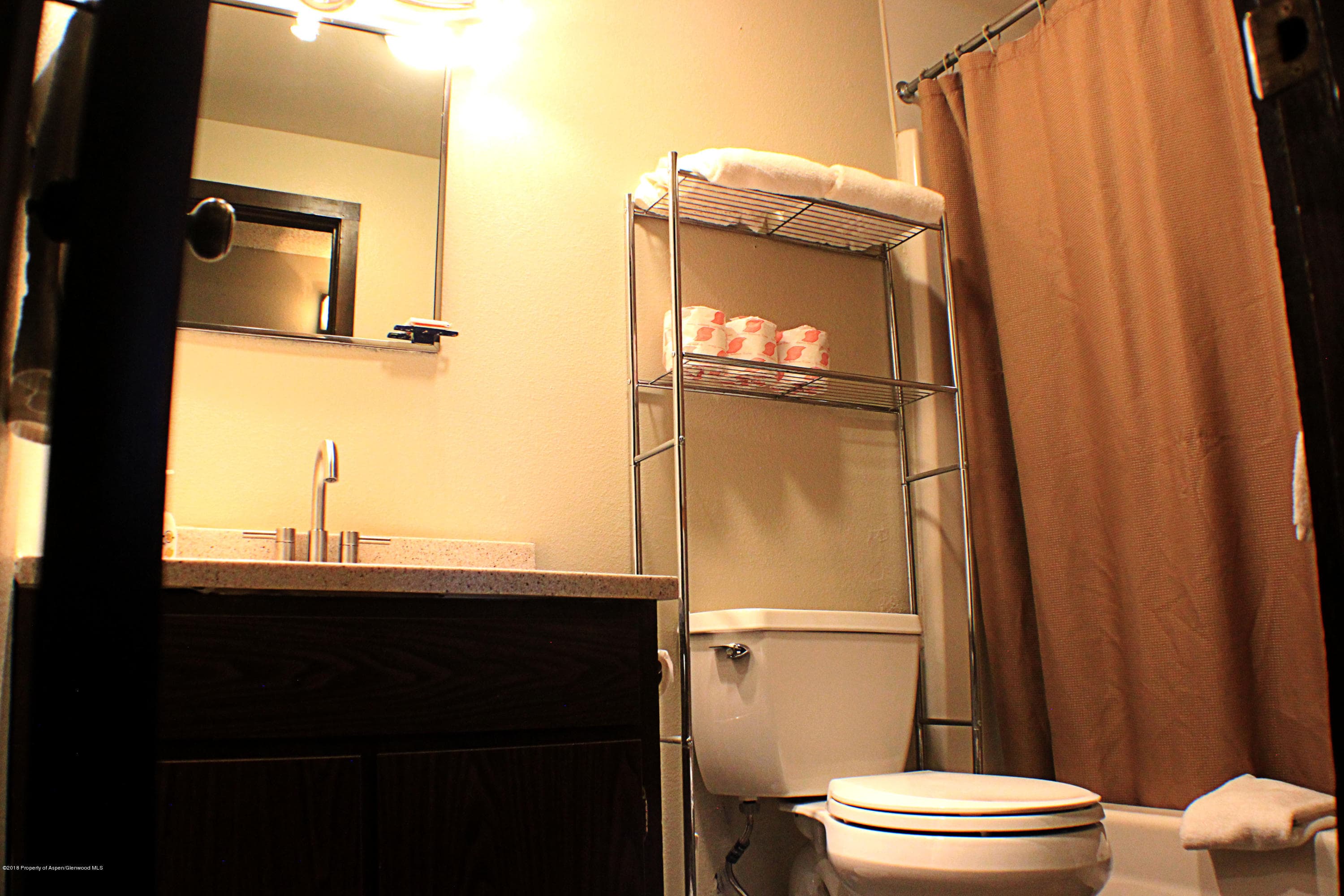 11101 County Road 117 G-2, Glenwood Springs, CO 81601 - Photo 15