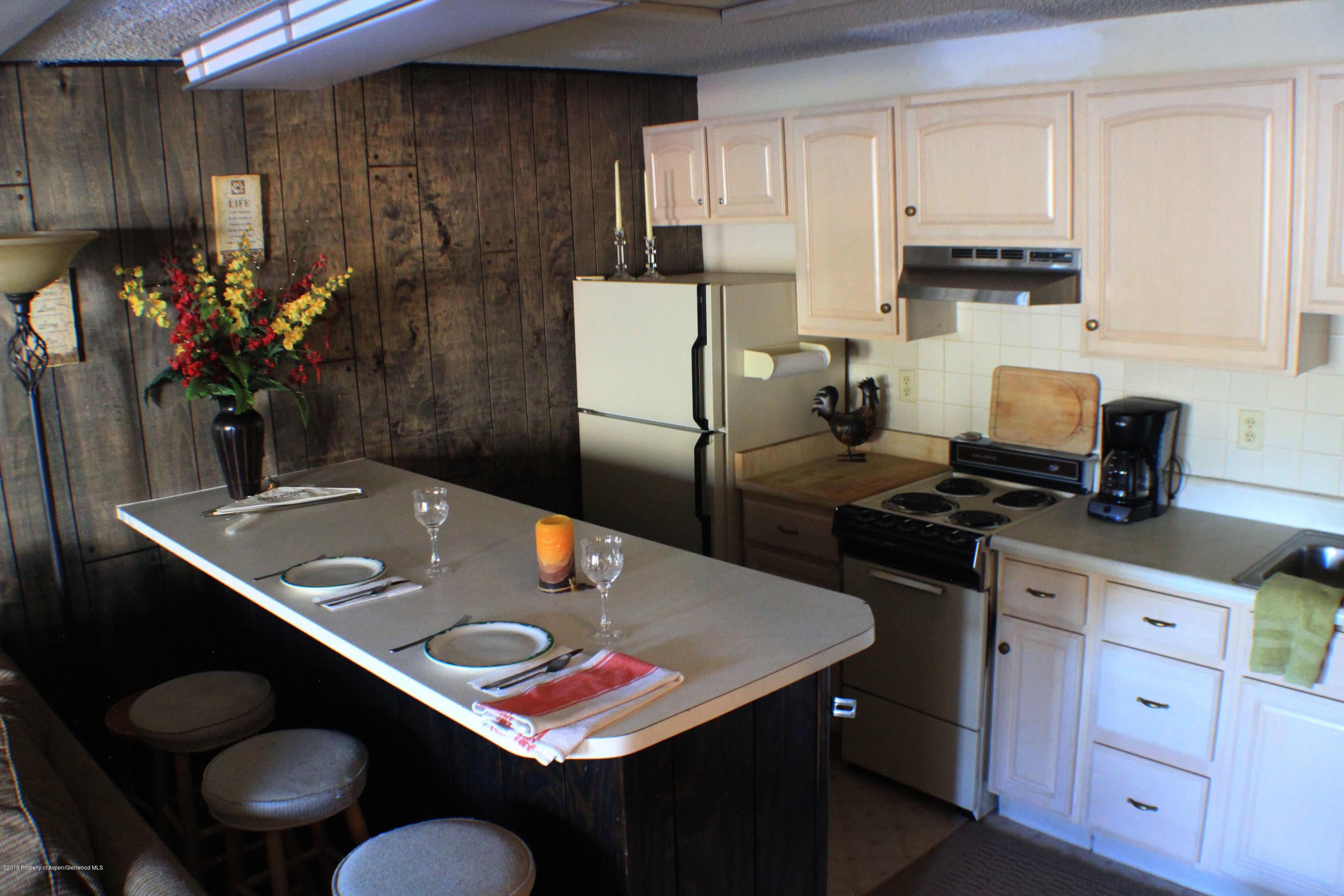 11101 County Road 117 G-2, Glenwood Springs, CO 81601 - Photo 13