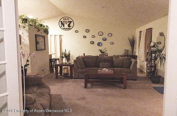 288 Lupine Drive, New Castle, CO 81647 - Photo 9