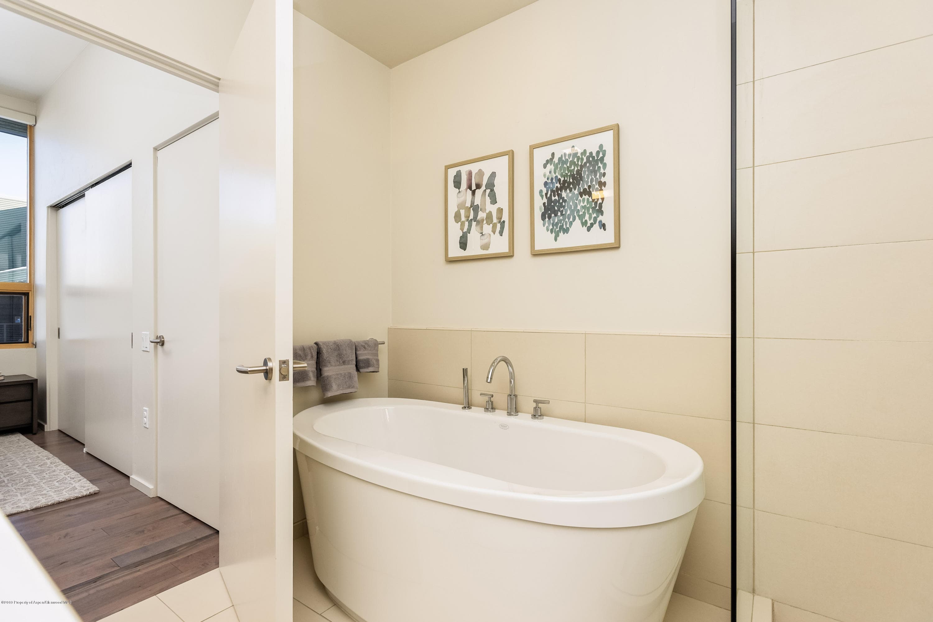 200 Evans Road 102, Basalt, CO 81621 - Photo 9