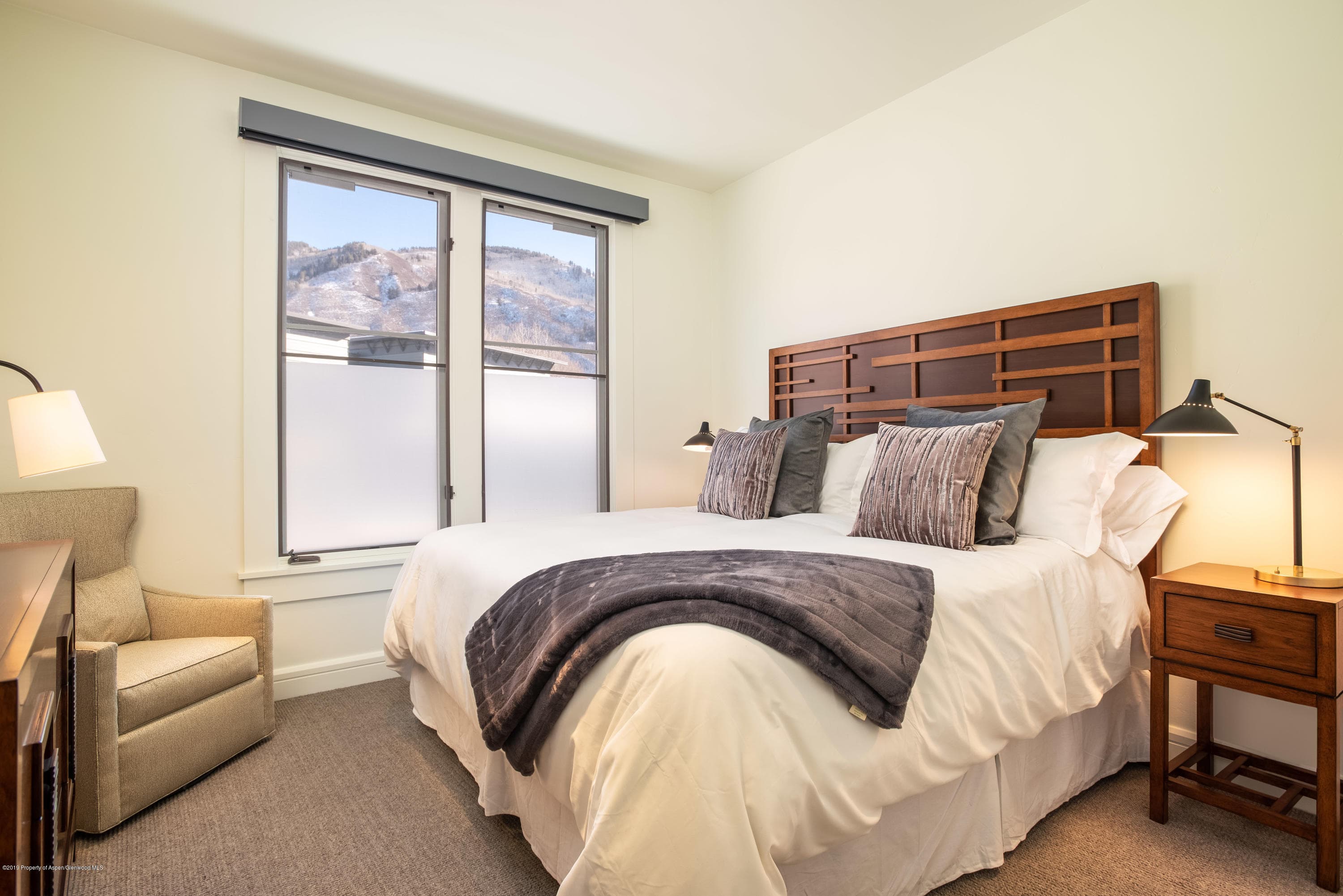 101 Founders Place #201, Aspen, CO 81611 - Photo 15
