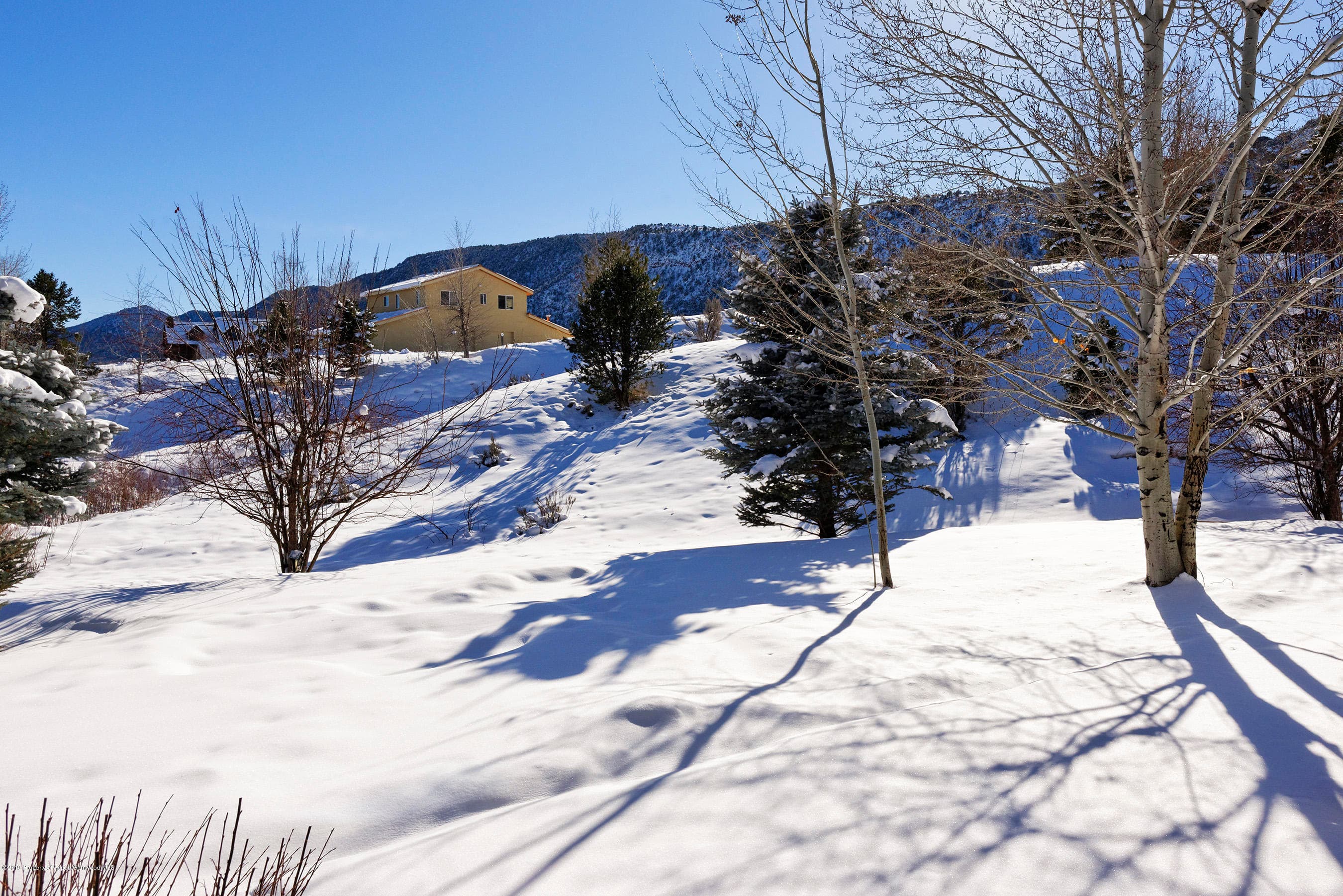 167 Silver Mountain Drive, Glenwood Springs, CO 81601 - Photo 16