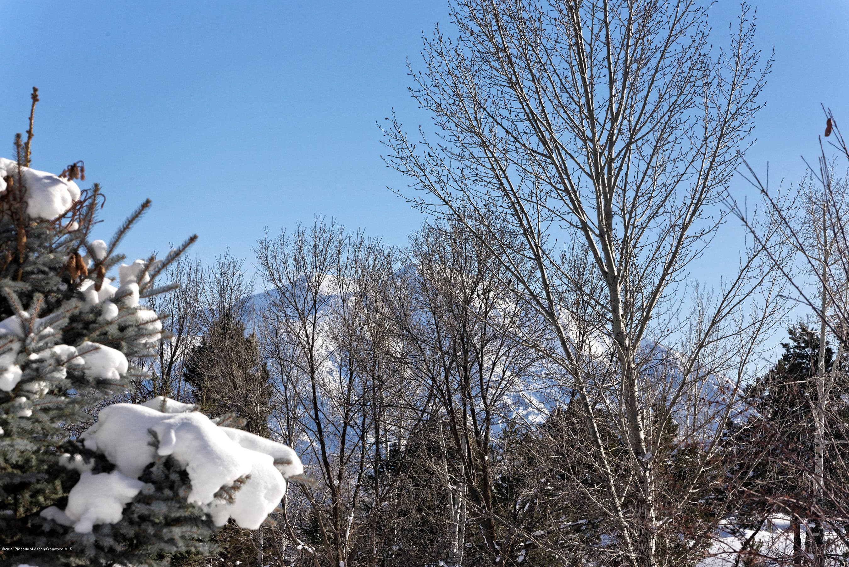 167 Silver Mountain Drive, Glenwood Springs, CO 81601 - Photo 18