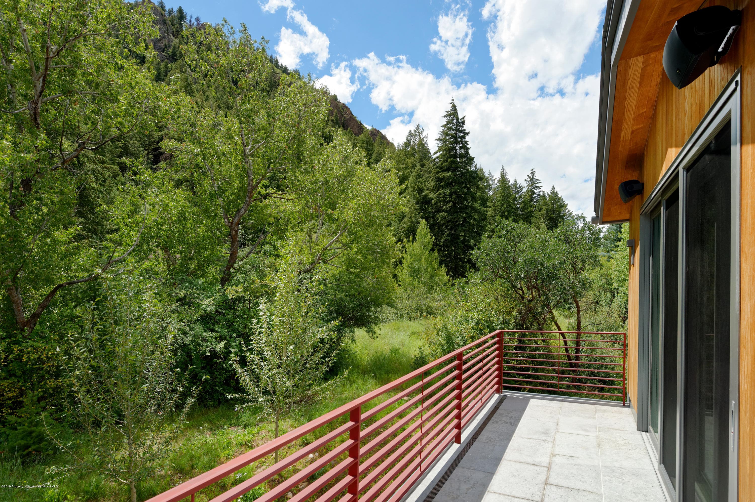 217 S Third Street, Aspen, CO 81611 - Photo 22