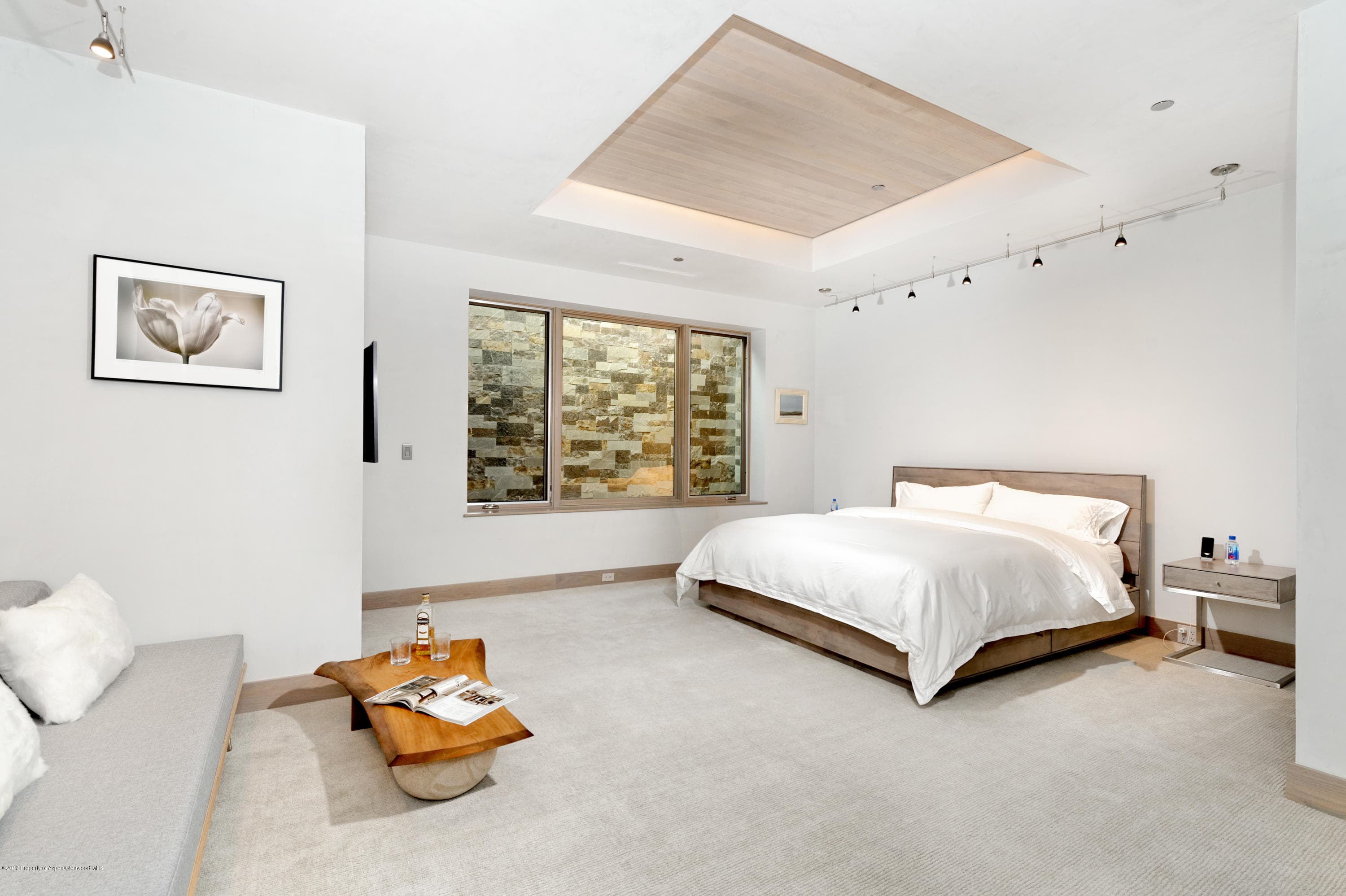 217 S Third Street, Aspen, CO 81611 - Photo 14