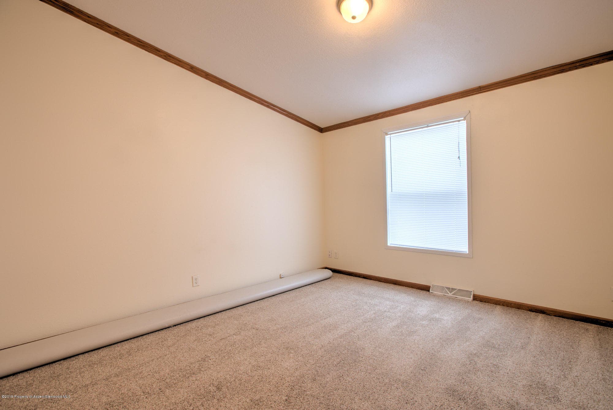 1817 Pheasant Cove, Silt, CO 81652 - Photo 17