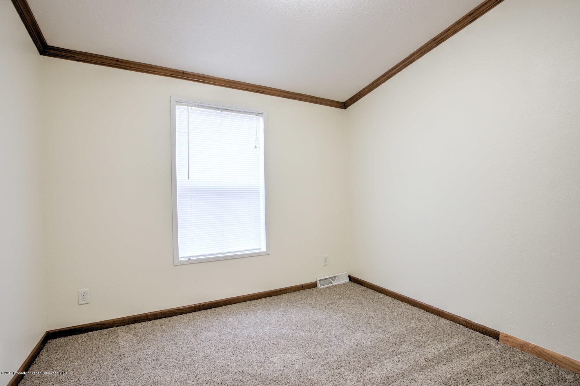 1817 Pheasant Cove, Silt, CO 81652 - Photo 19