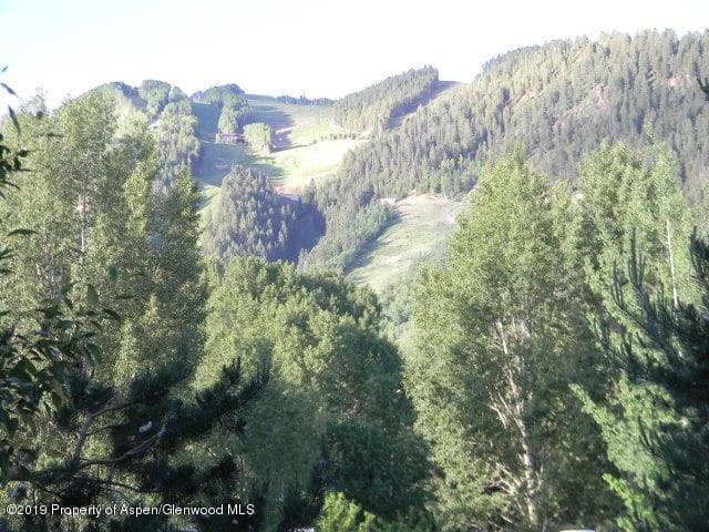 308 N 1st Street, Aspen, CO 81611 - Photo 2