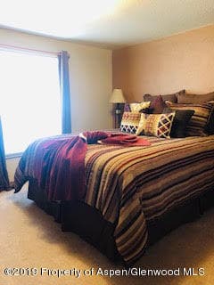 59 E Tamarack Circle, Parachute, CO 81635 - Photo 14