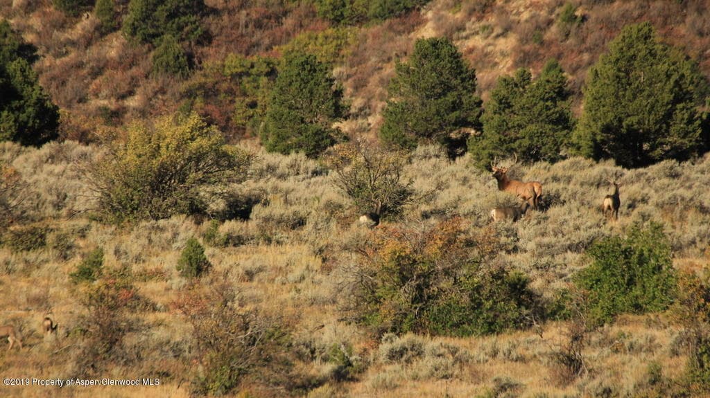 TBD Highway 13 south, Meeker, CO 81641 - Photo 21