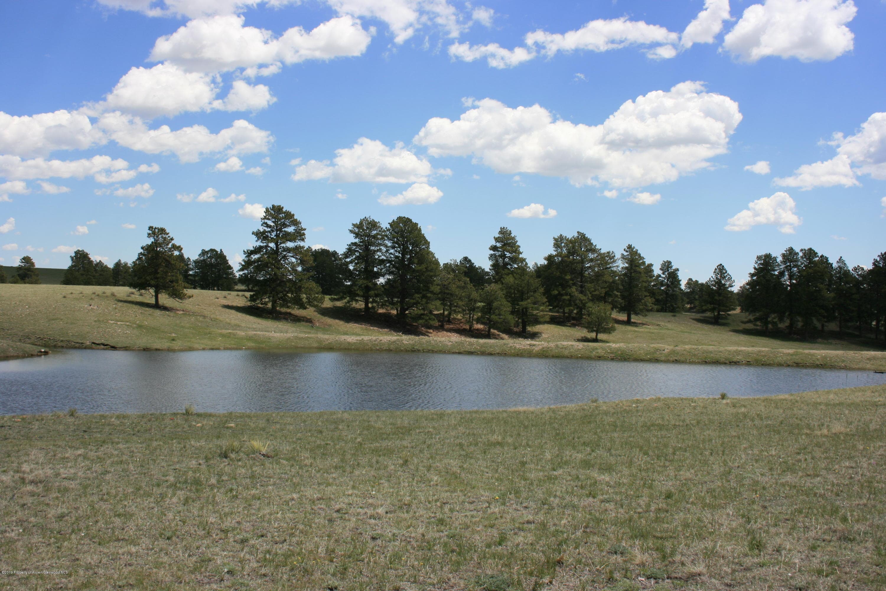 TBD Co Rd 94, Elbert, CO 80106 - Photo 3