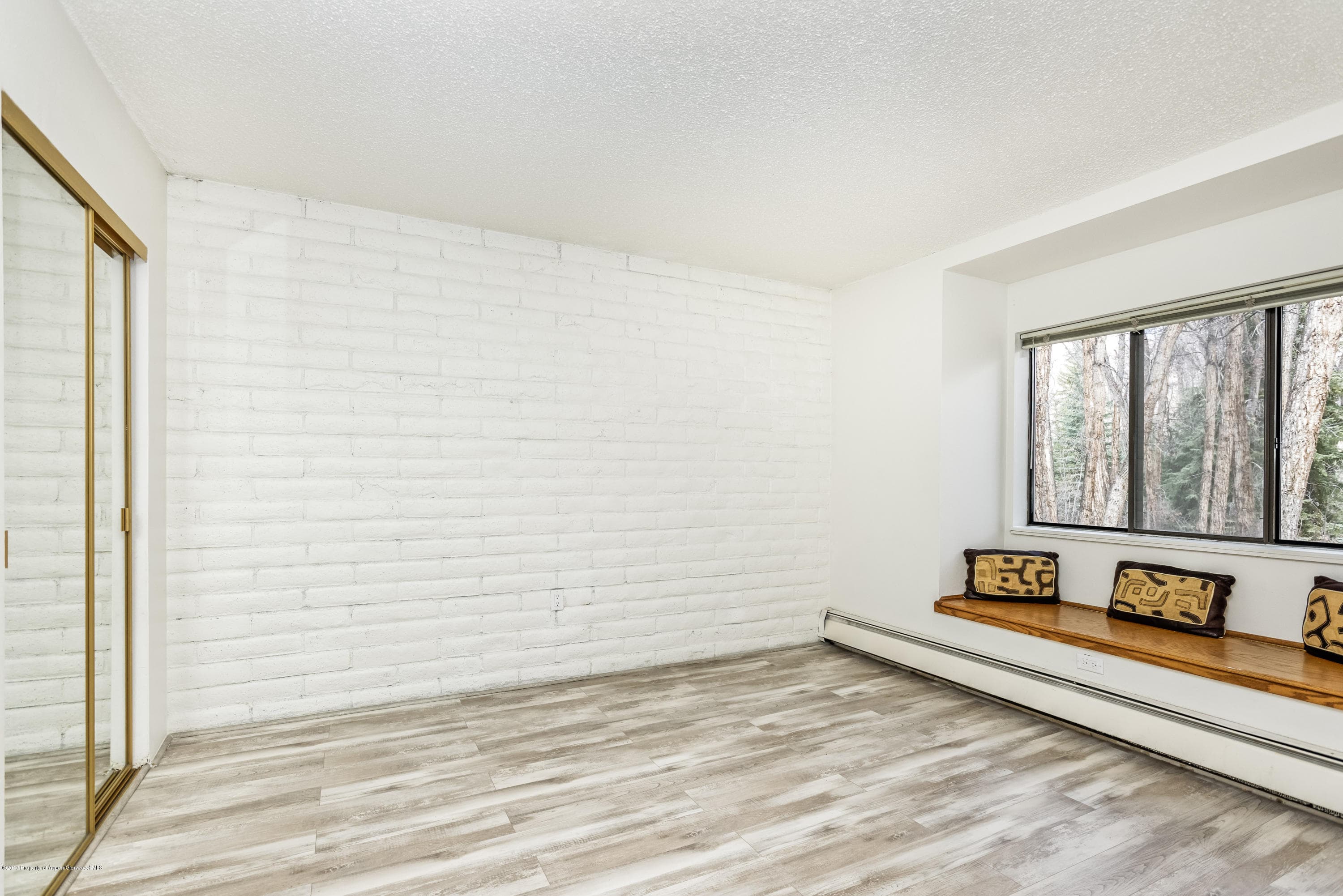 414 Vine Street, Aspen, CO 81611 - Photo 5