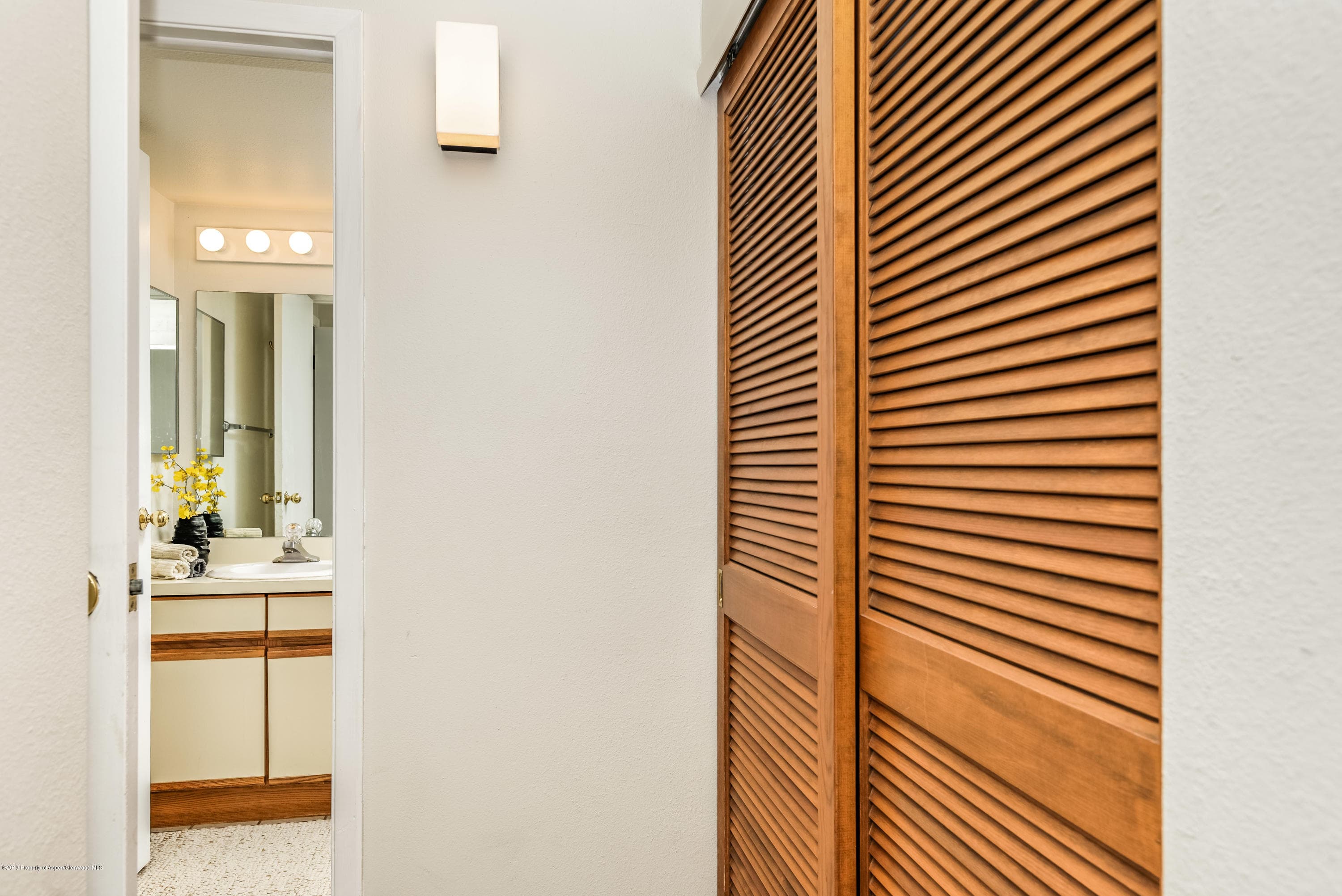 414 Vine Street, Aspen, CO 81611 - Photo 11