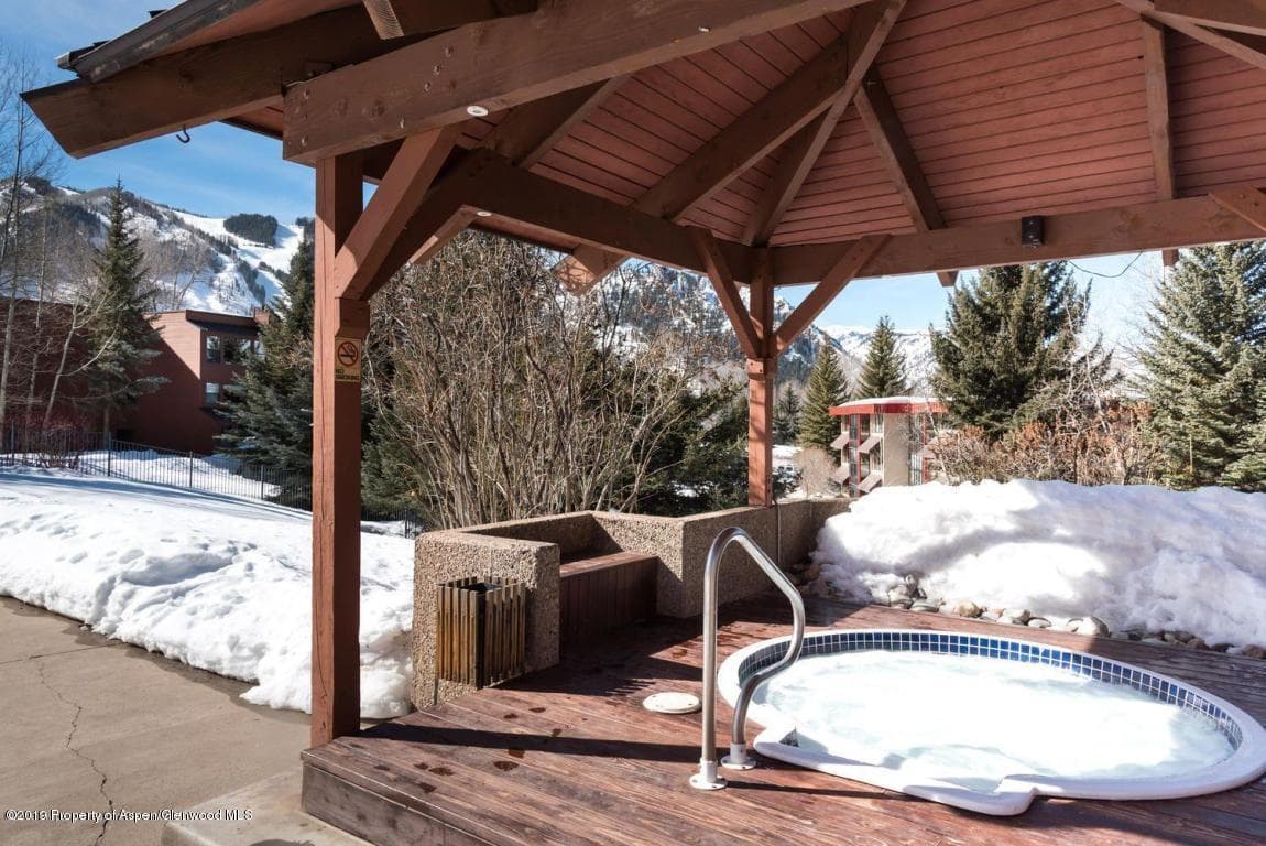 414 Vine Street, Aspen, CO 81611 - Photo 15