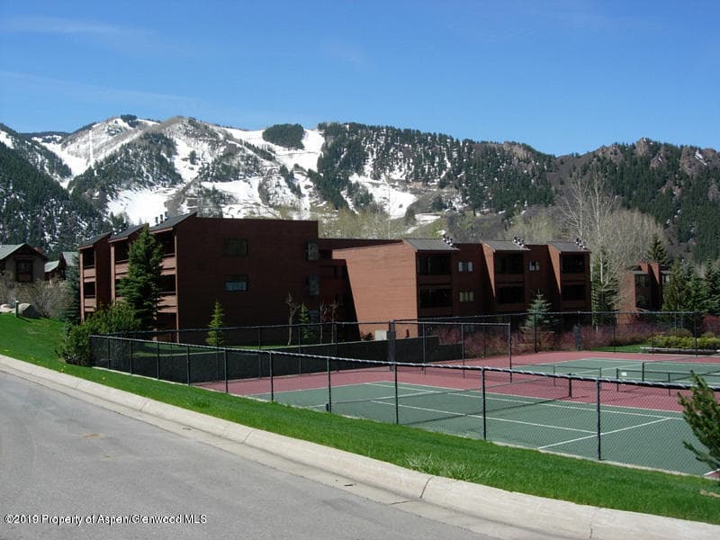 414 Vine Street, Aspen, CO 81611 - Photo 17