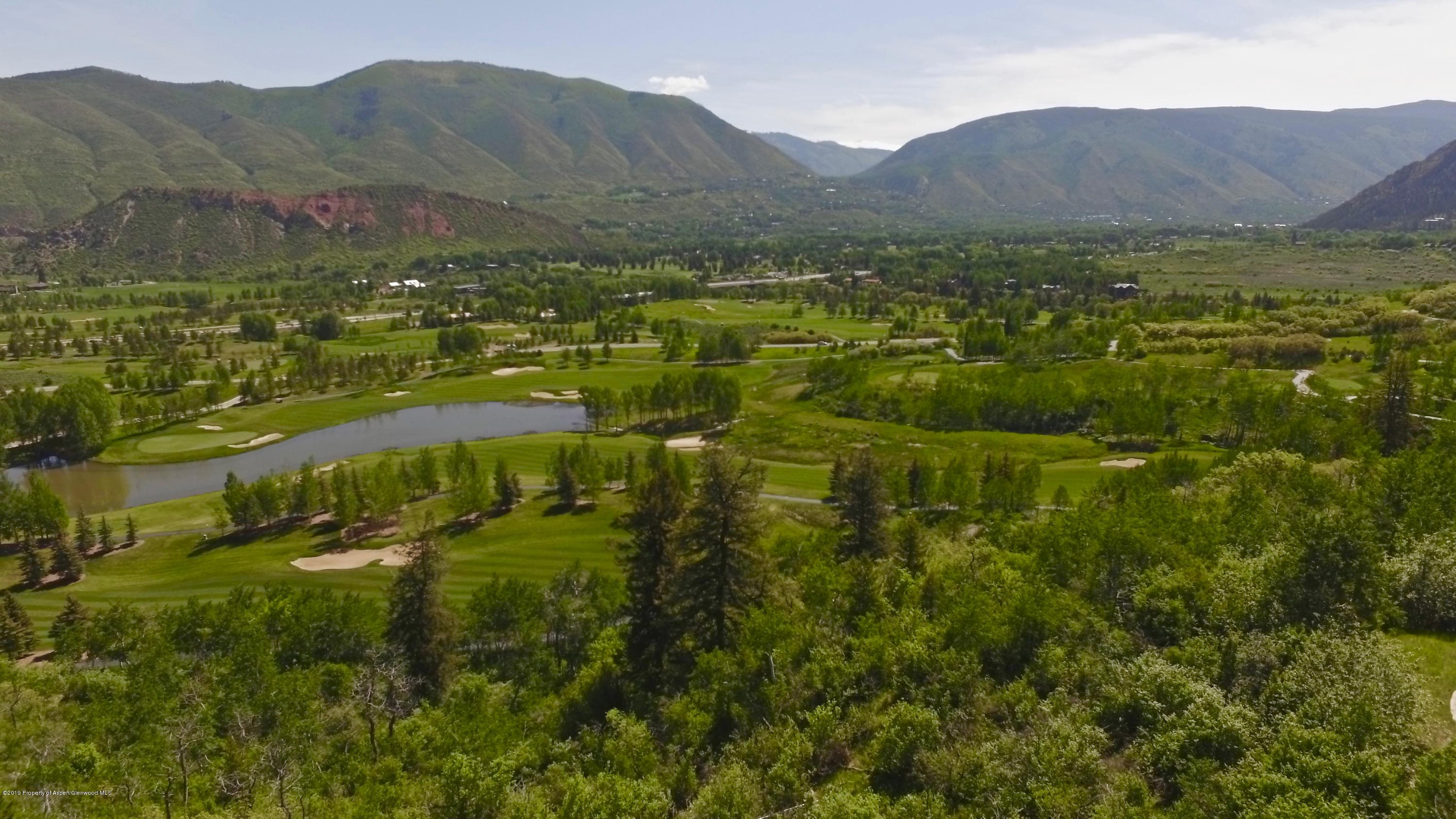 699 Pfister, Aspen, CO 81611 - Photo 6