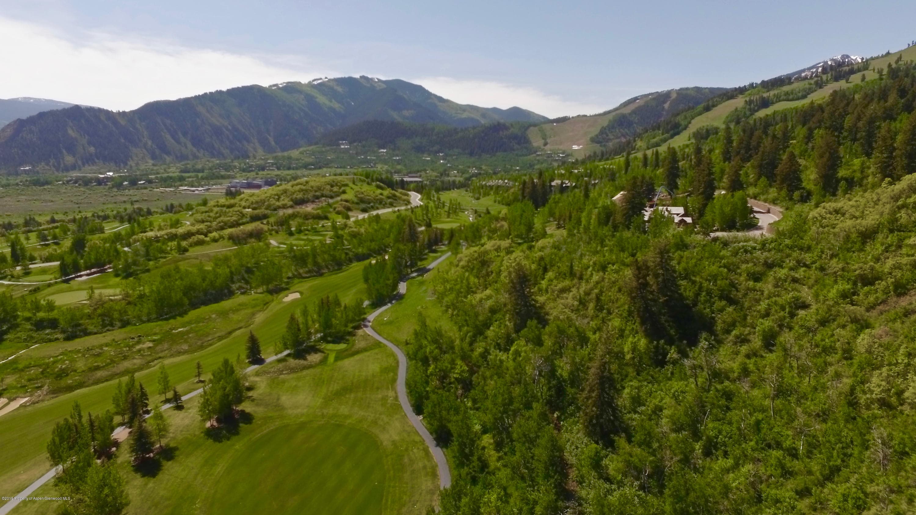699 Pfister, Aspen, CO 81611 - Photo 8