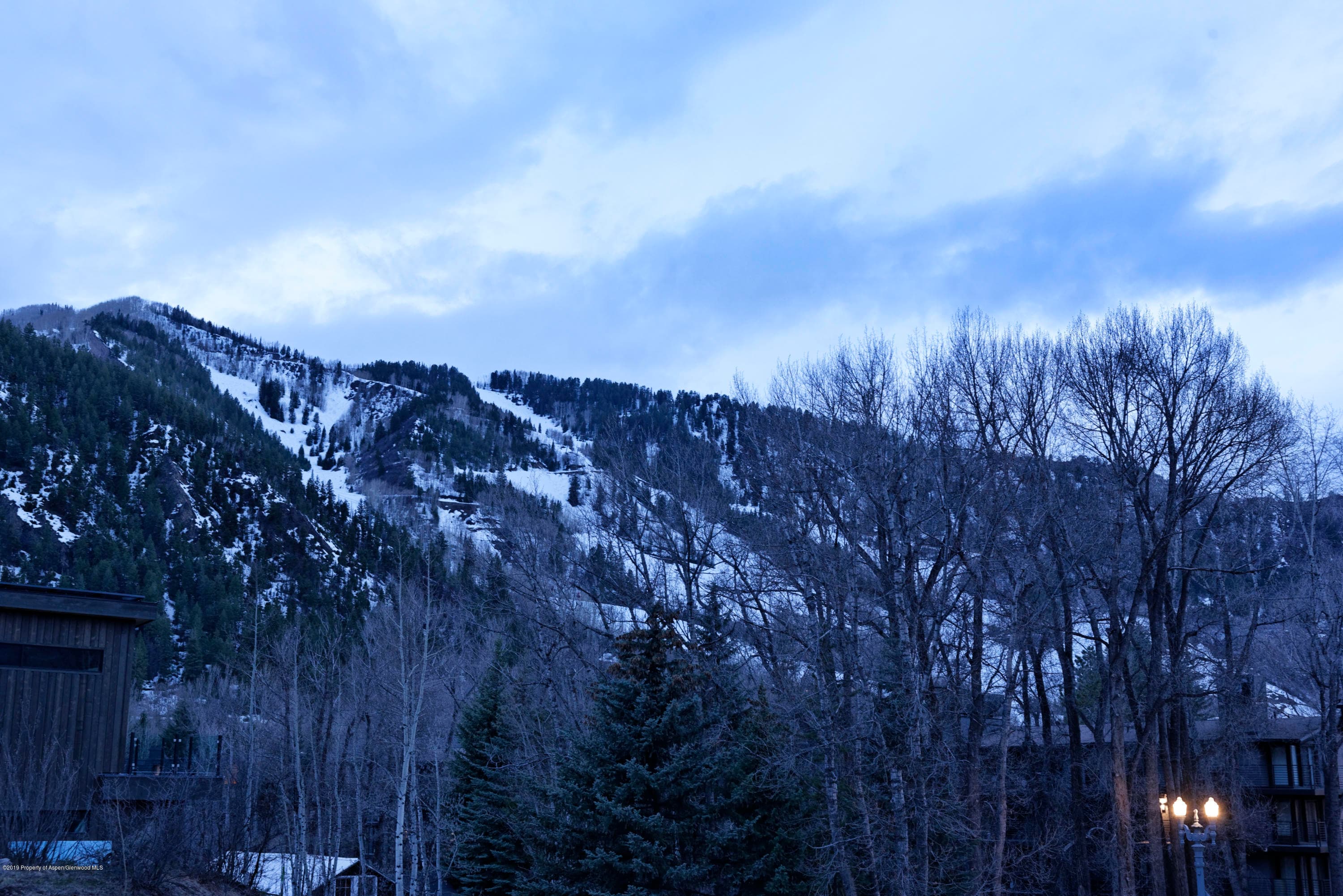 1154 E Cooper Avenue, Aspen, CO 81611 - Photo 27