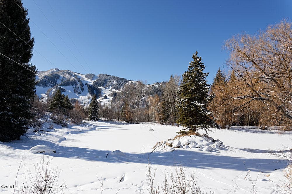 101 American Lane, Aspen, CO 81611 - Photo 14