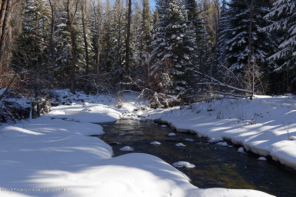 101 American Lane, Aspen, CO 81611 - Photo 13