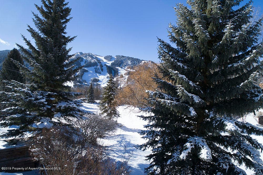101 American Lane, Aspen, CO 81611 - Photo 11
