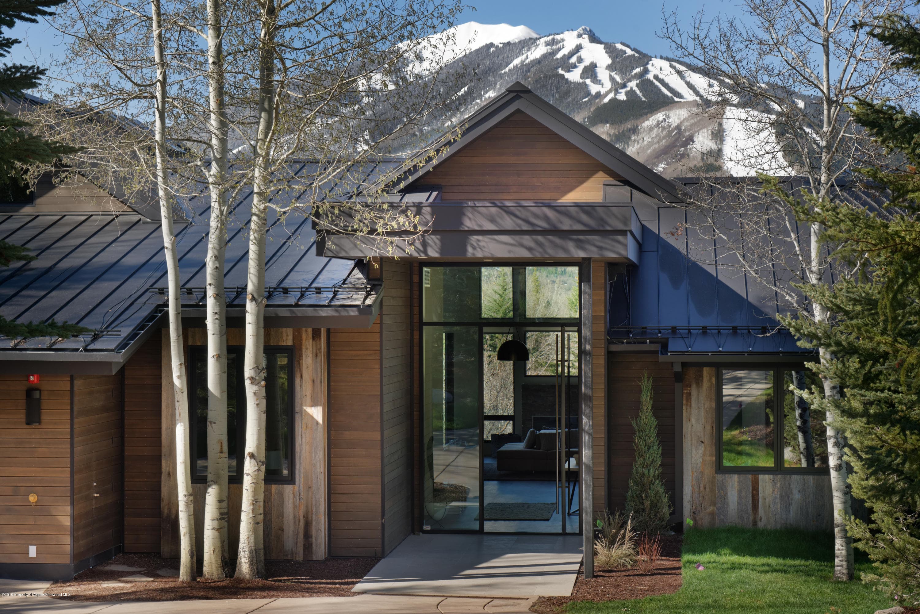 346 Draw Drive, Aspen, CO 81611 - Photo 5