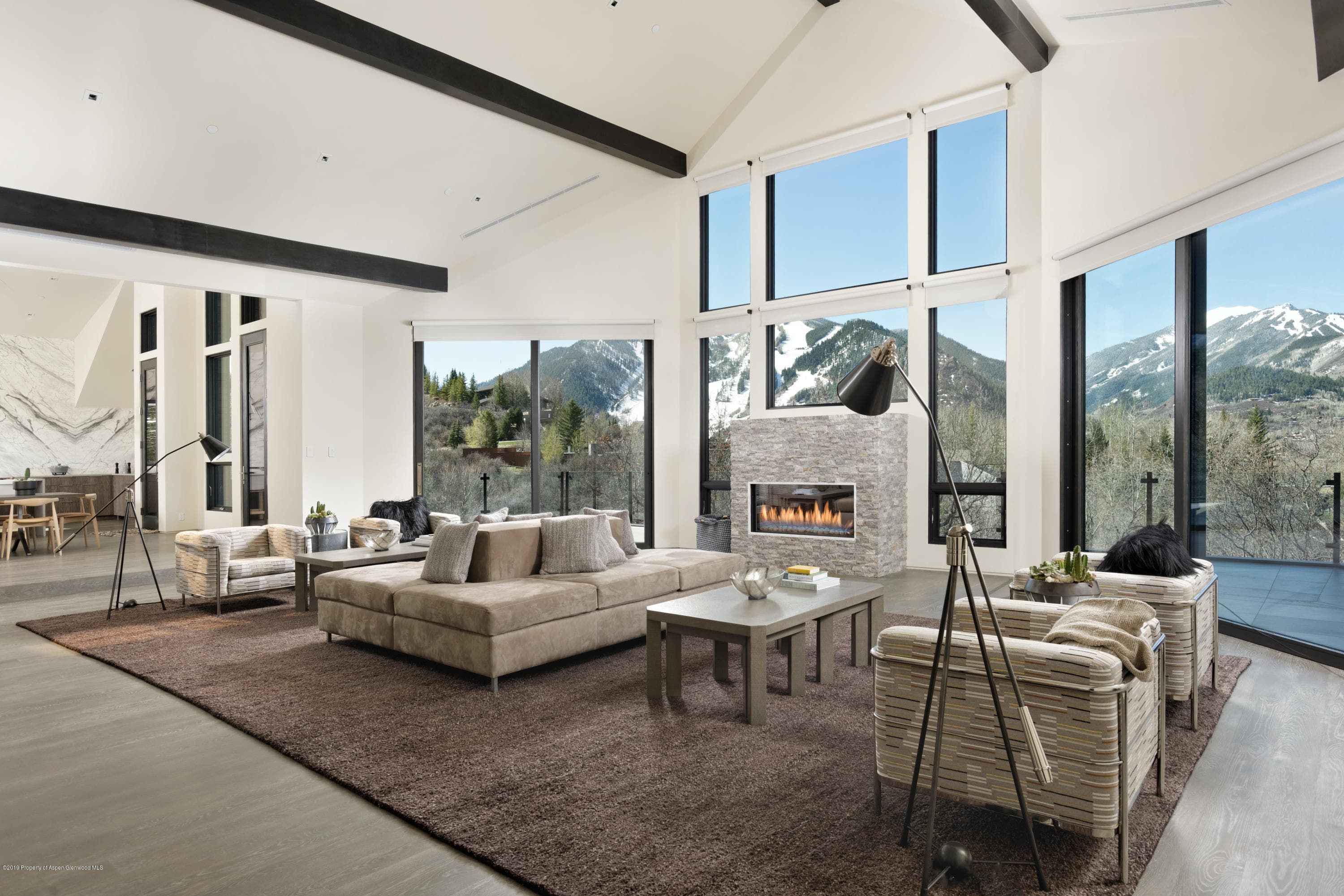 346 Draw Drive, Aspen, CO 81611 - Photo 8