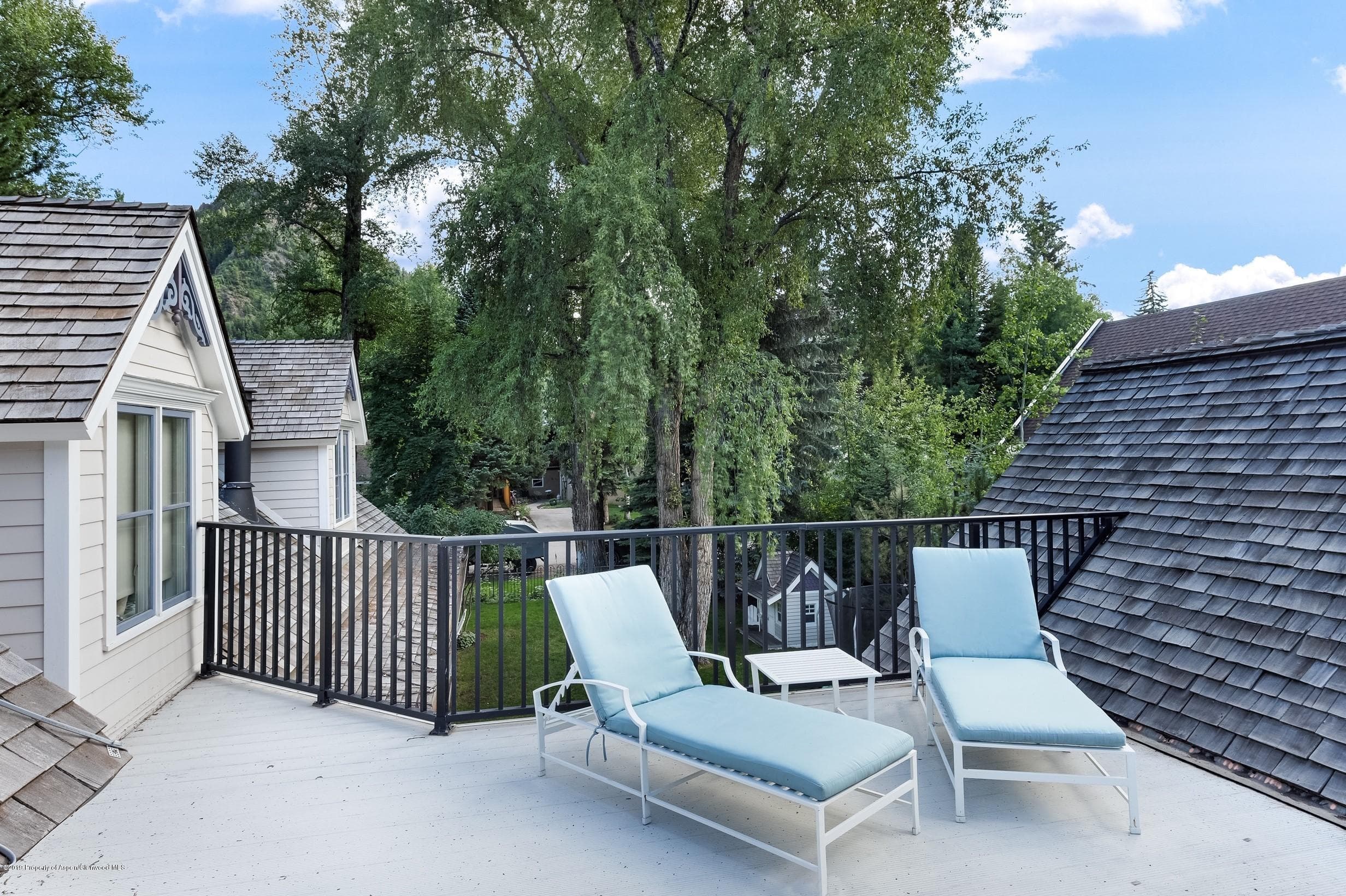 716 W Francis Street, Aspen, CO 81611 - Photo 25