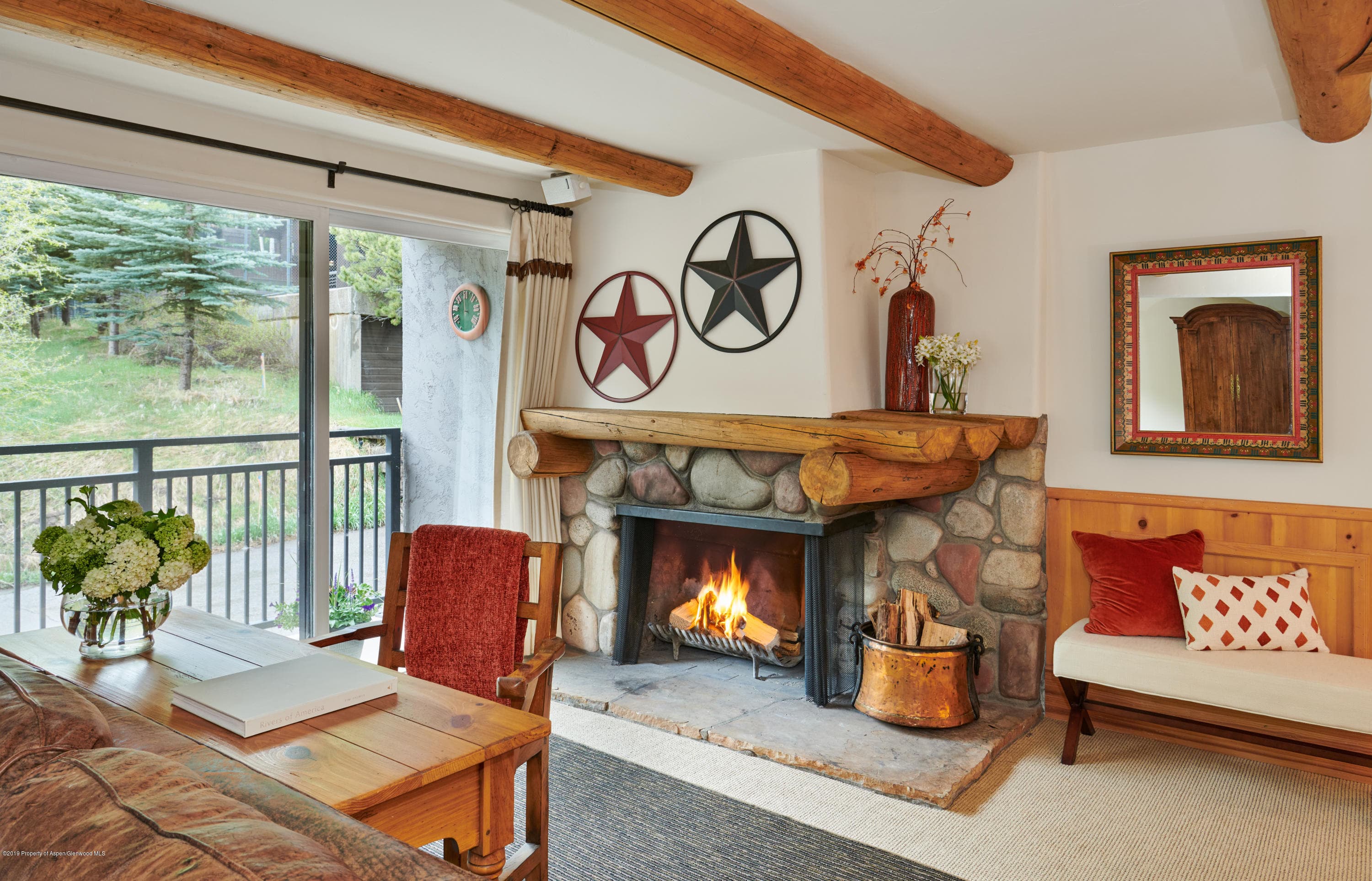 700 S Monarch Street 201, Aspen, CO 81611 - Photo 1