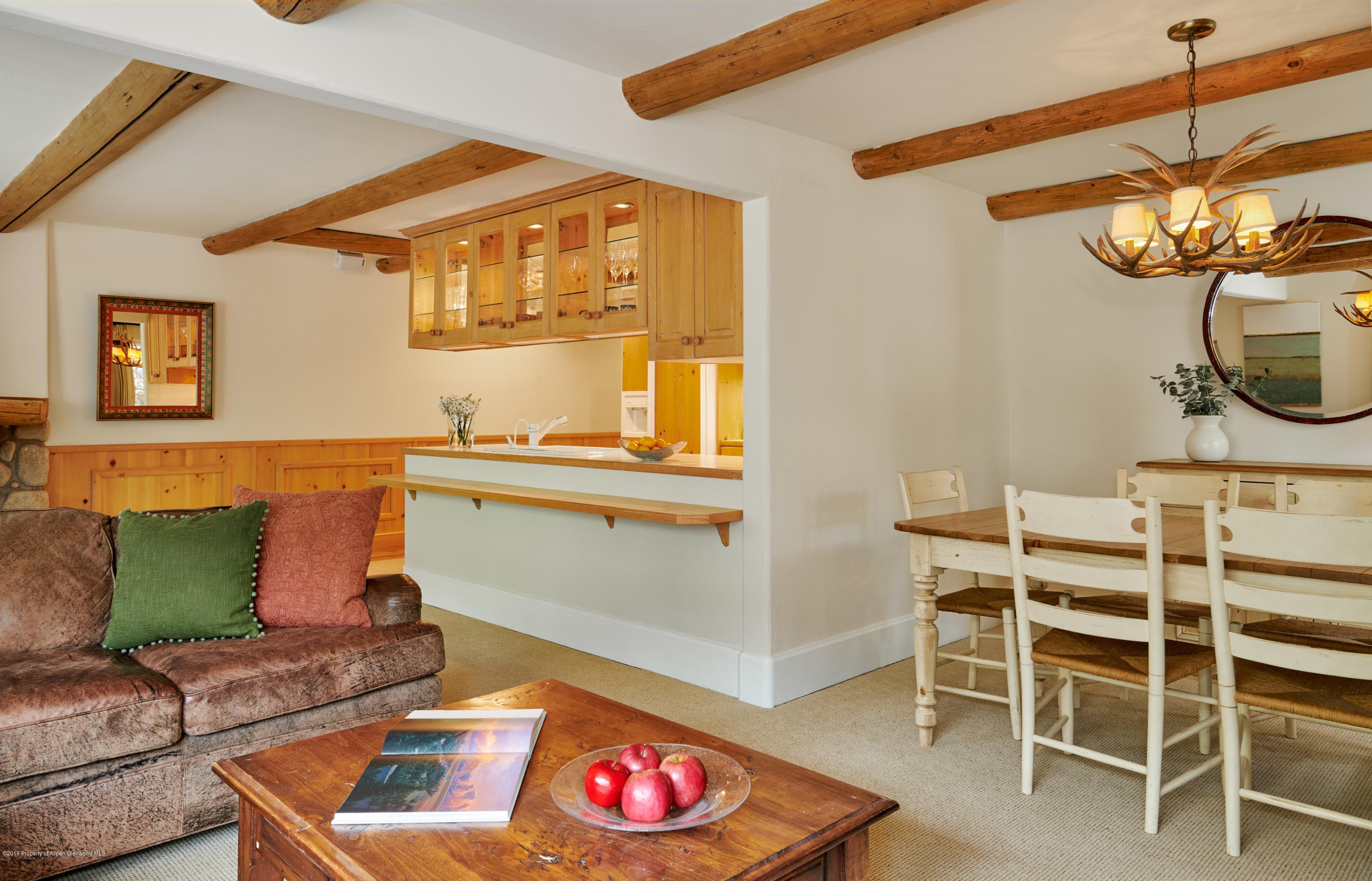 700 S Monarch Street 201, Aspen, CO 81611 - Photo 6