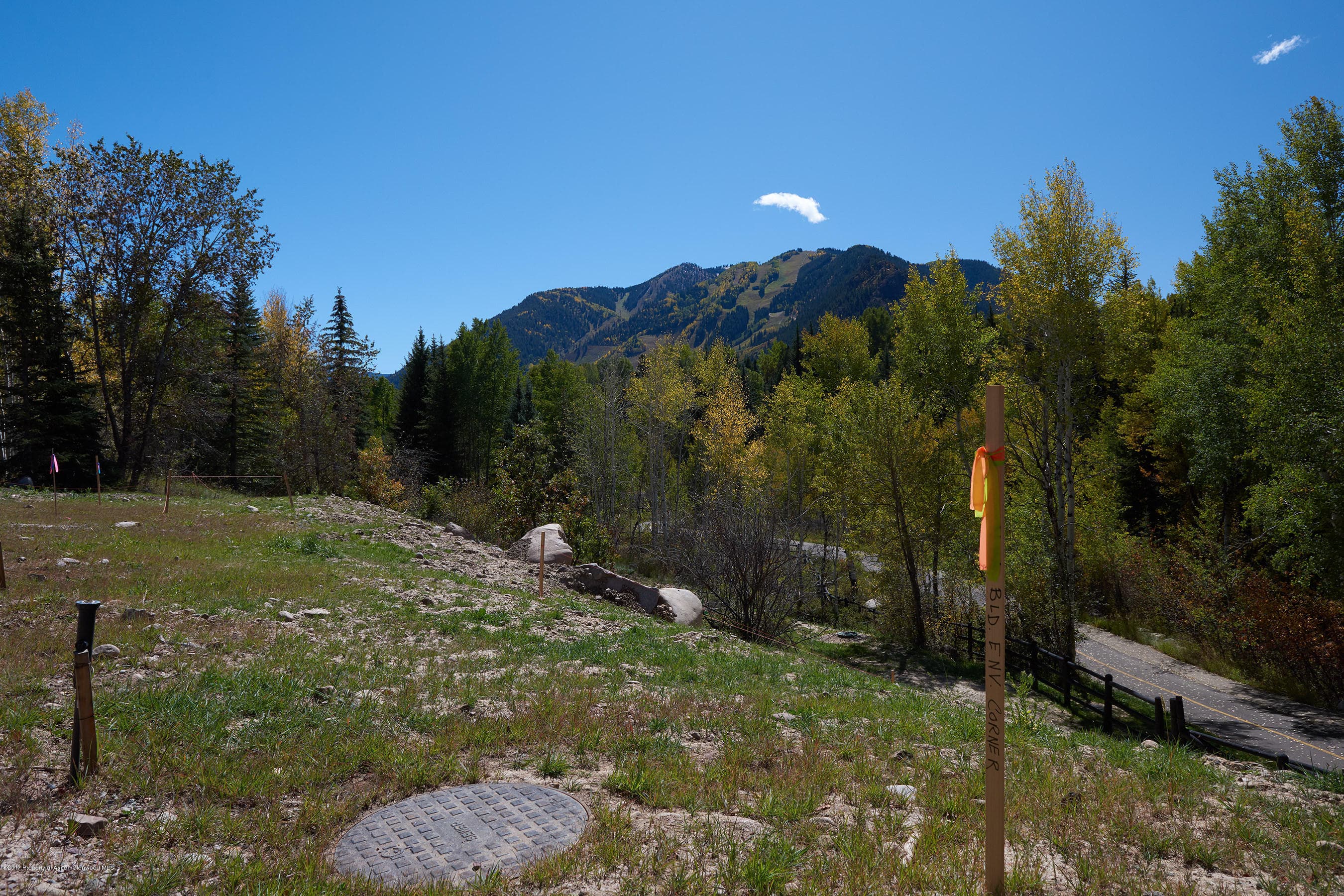 71 Pitkin Way, Aspen, CO 81611 - Photo 11