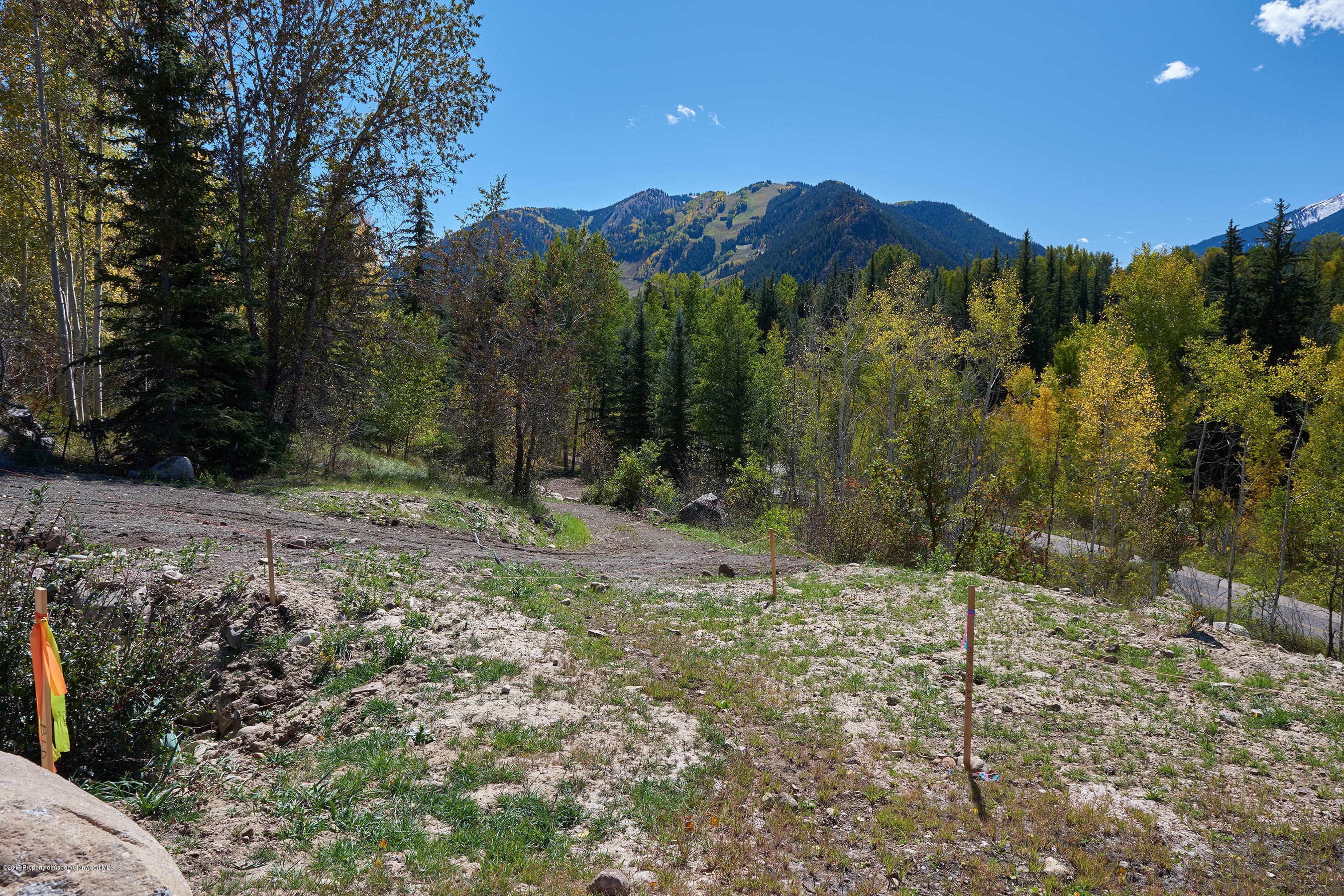 71 Pitkin Way, Aspen, CO 81611 - Photo 12