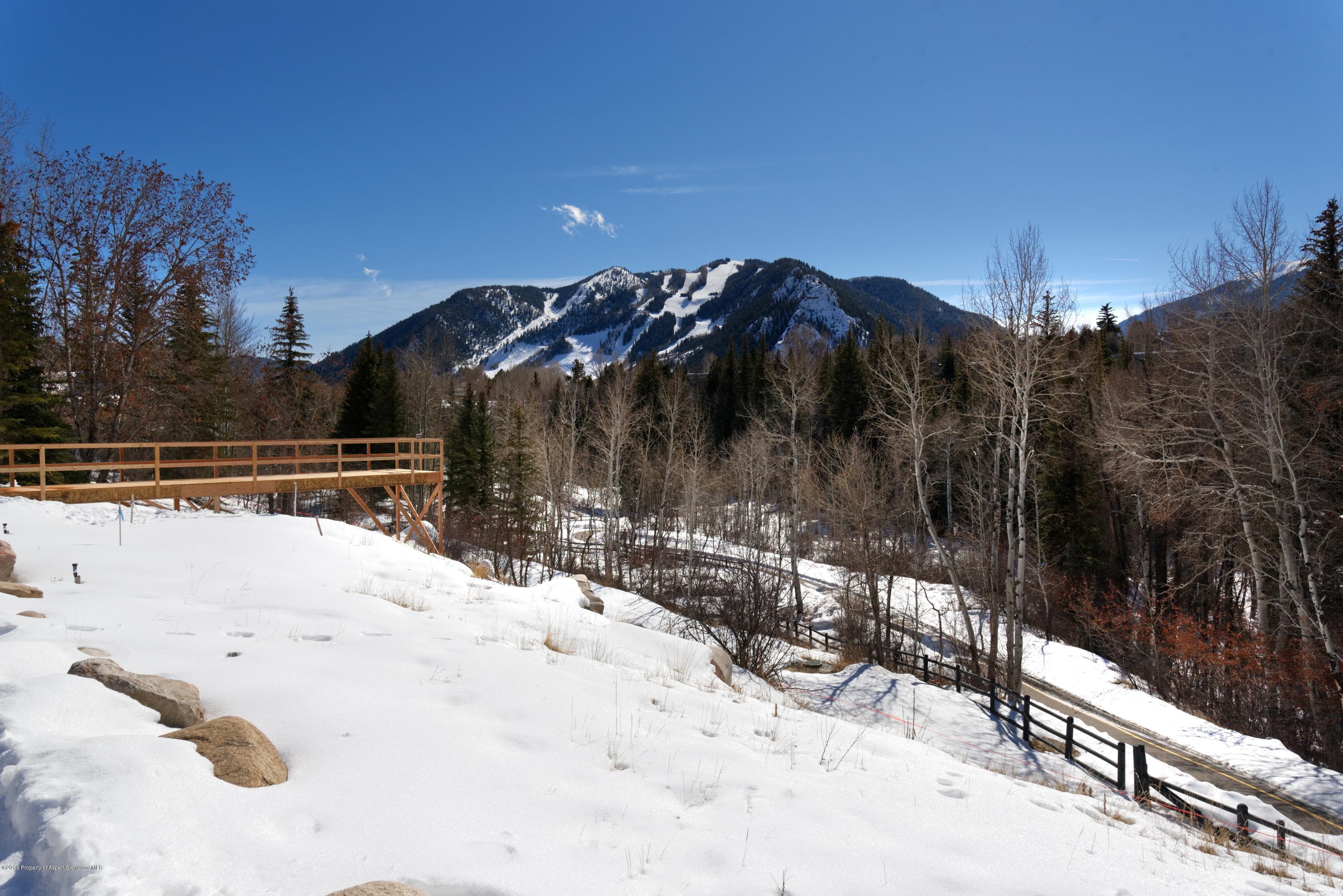 71 Pitkin Way, Aspen, CO 81611 - Photo 24