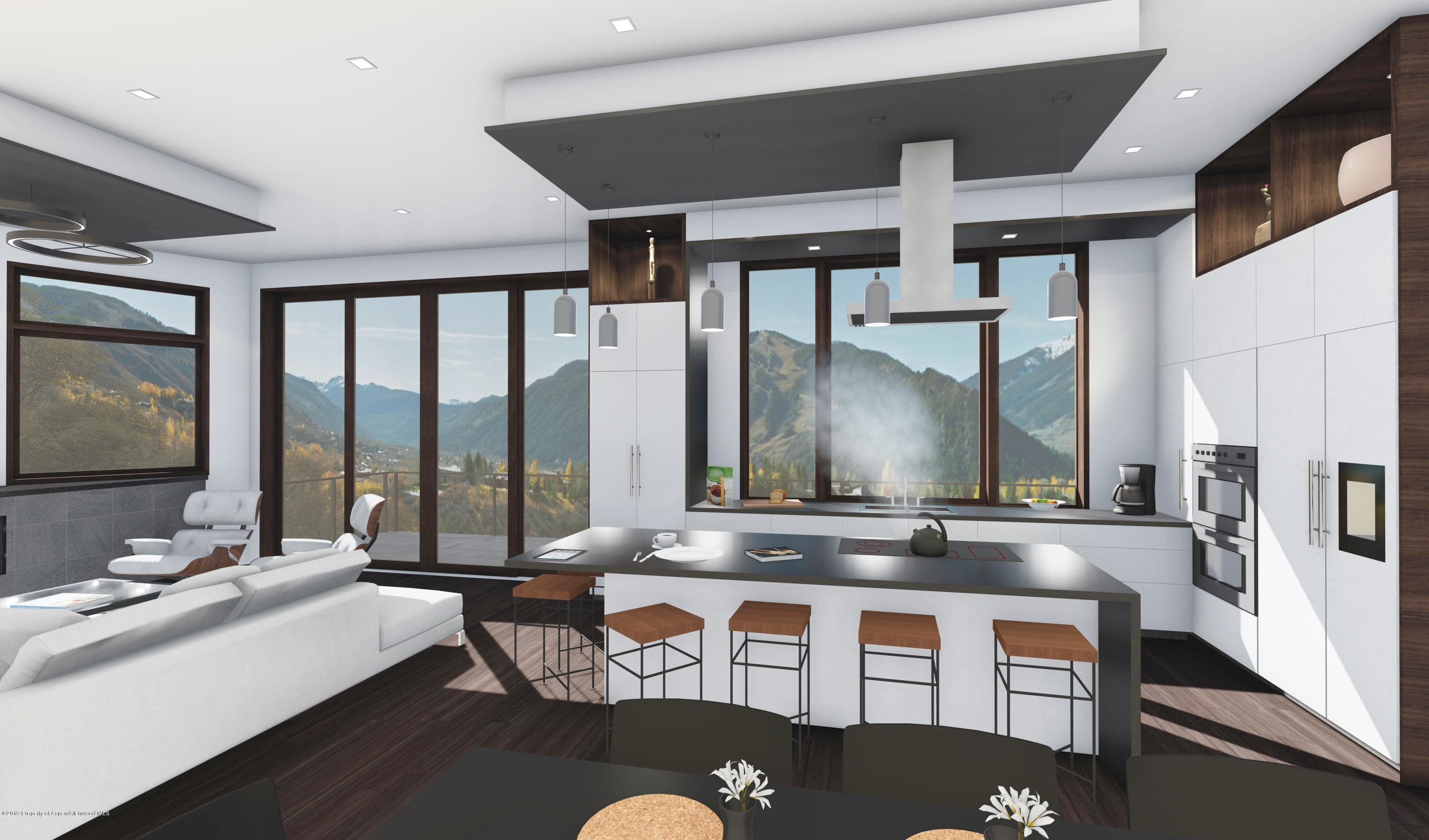 221 Wrights Road, Aspen, CO 81611 - Photo 4