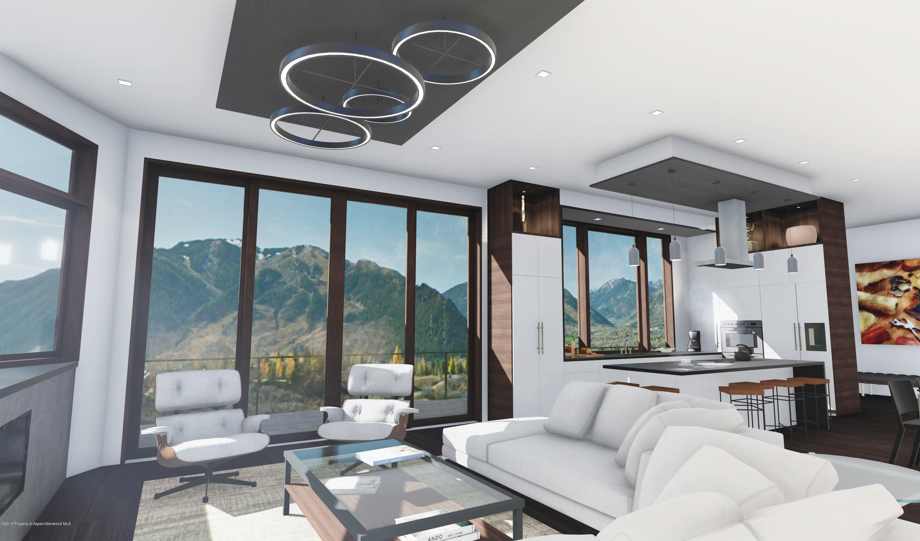 221 Wrights Road, Aspen, CO 81611 - Photo 9