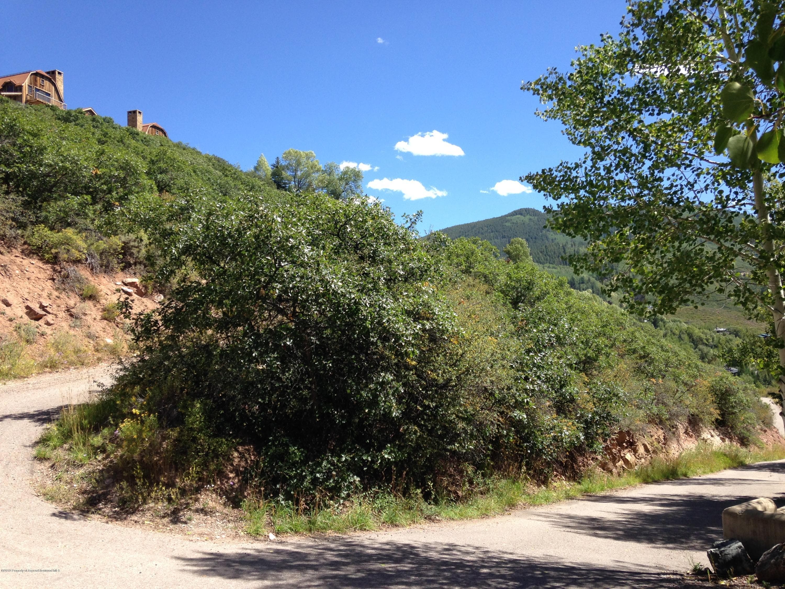 221 Wrights Road, Aspen, CO 81611 - Photo 14