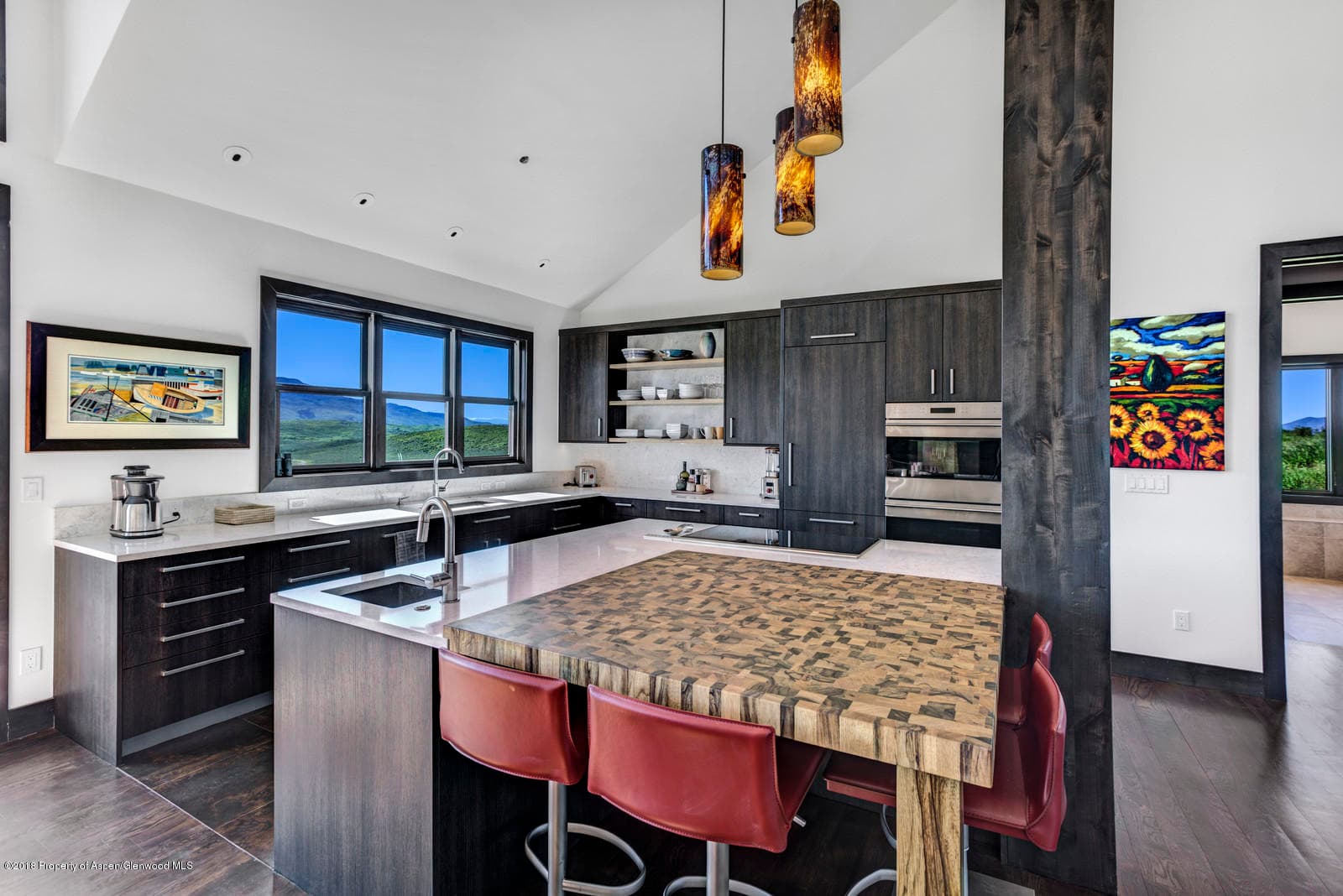 1003 Cattle Creek Ridge Road, Carbondale, CO 81623 - Photo 4