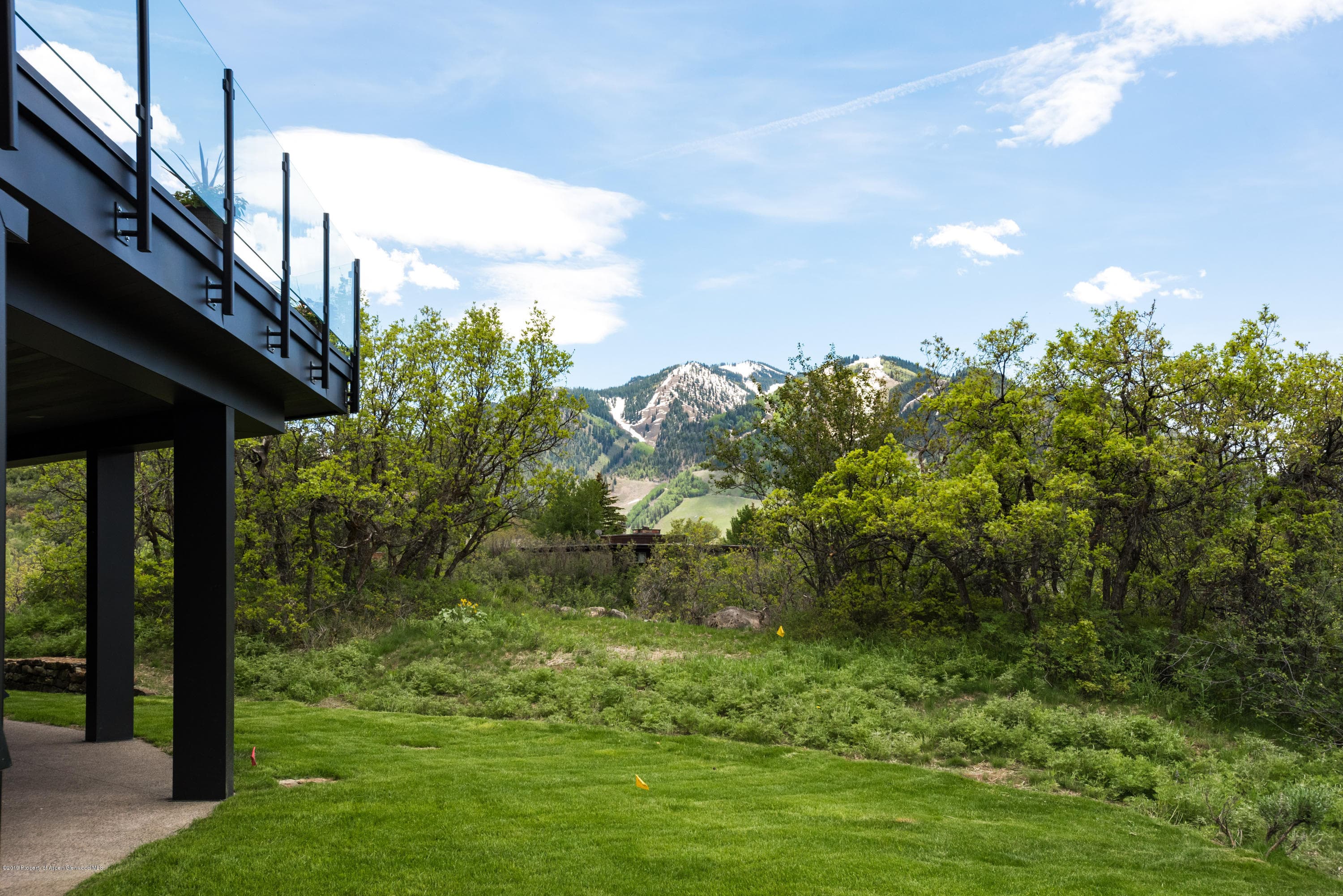 346 Draw Drive, Aspen, CO 81611 - Photo 41