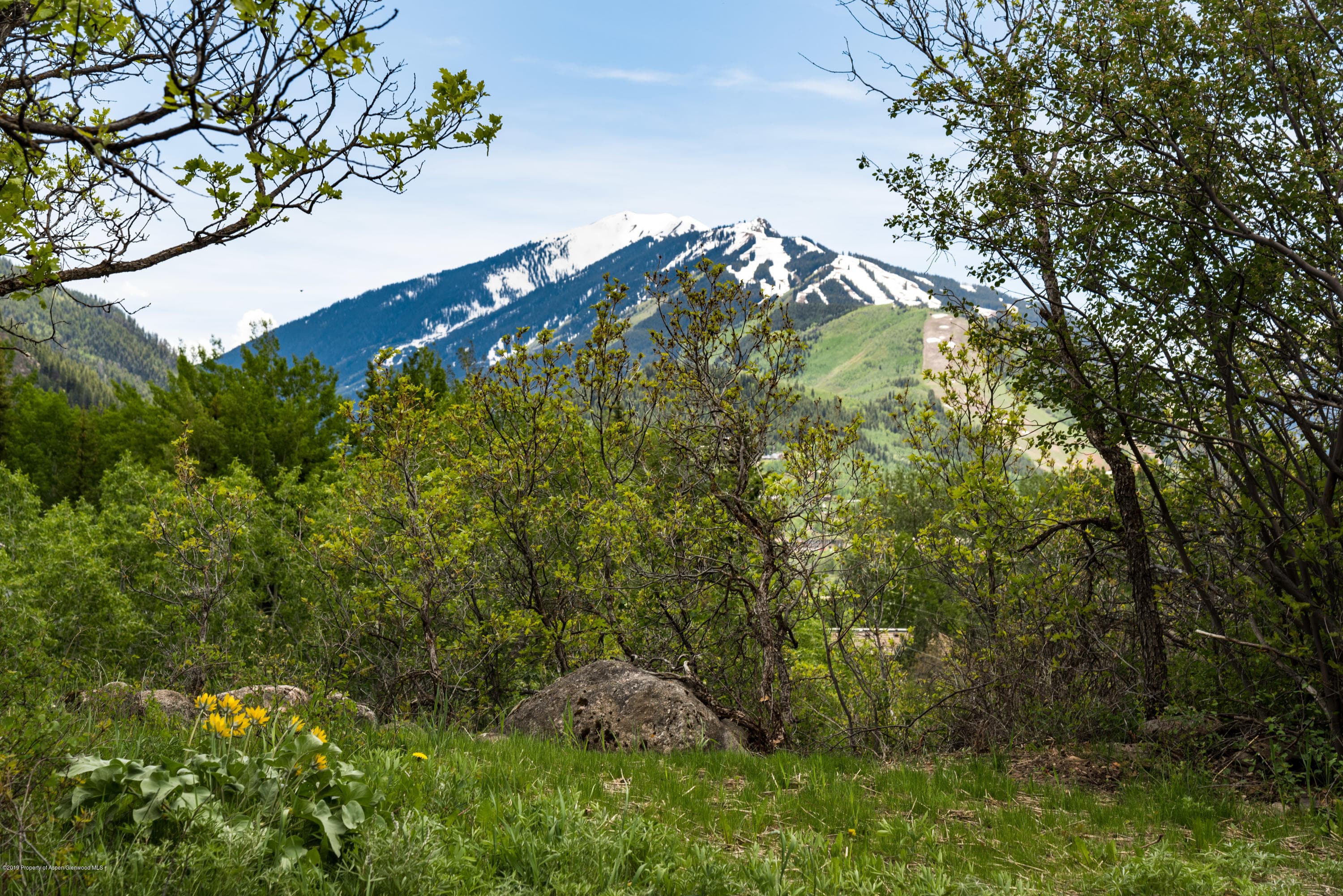 346 Draw Drive, Aspen, CO 81611 - Photo 42