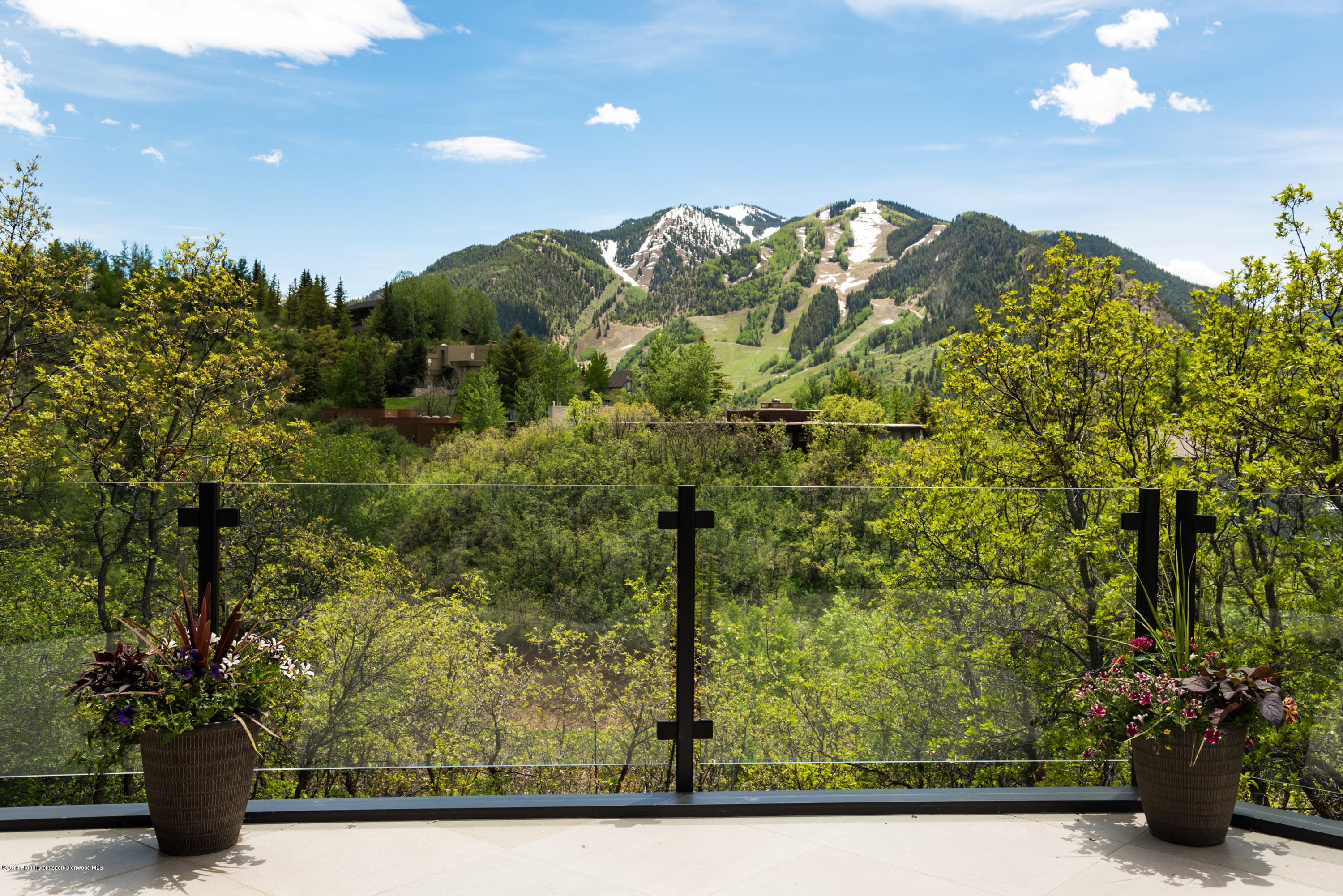 346 Draw Drive, Aspen, CO 81611 - Photo 43