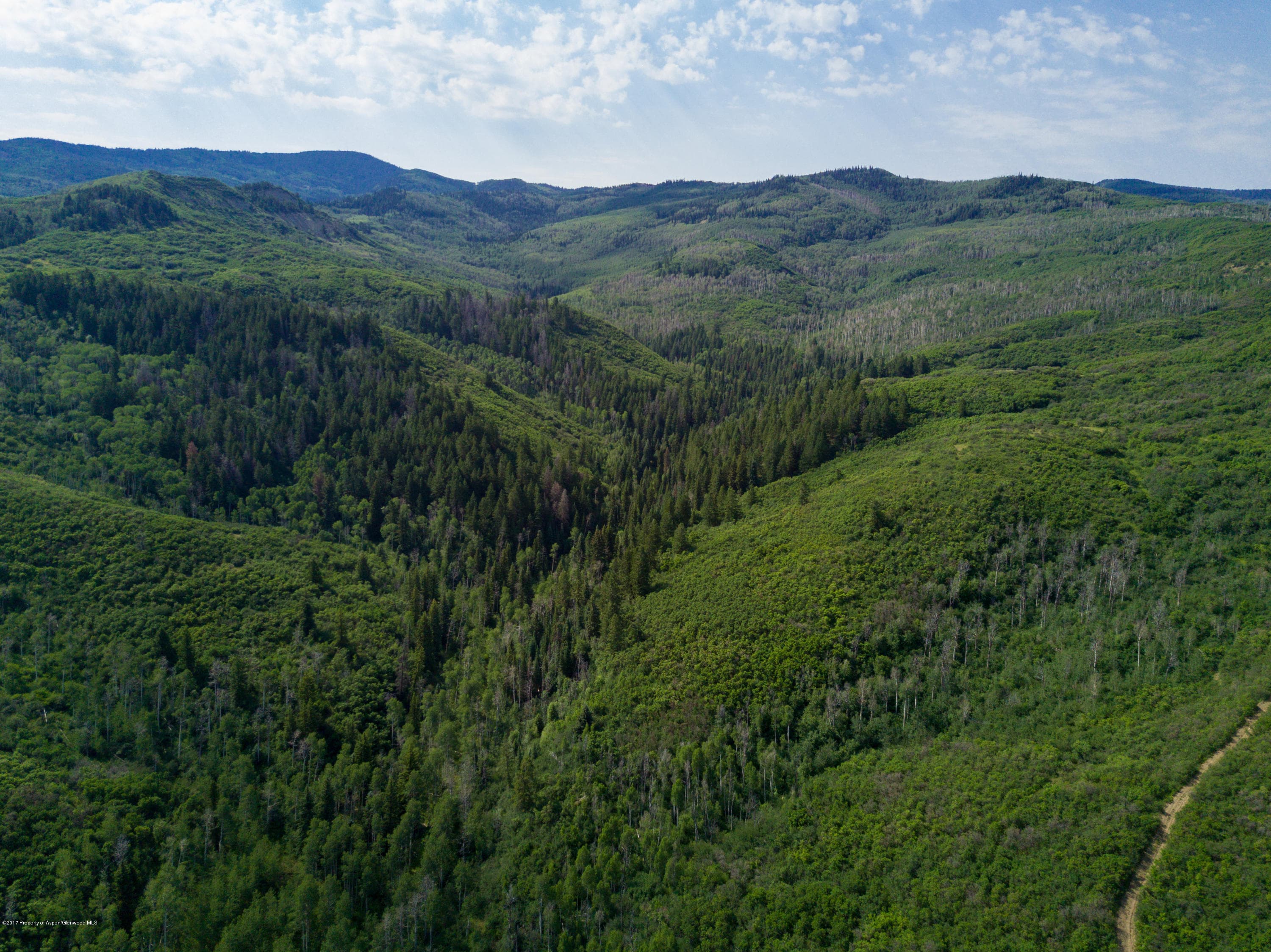 TBD County Road 312, New Castle, CO 81647 - Photo 4
