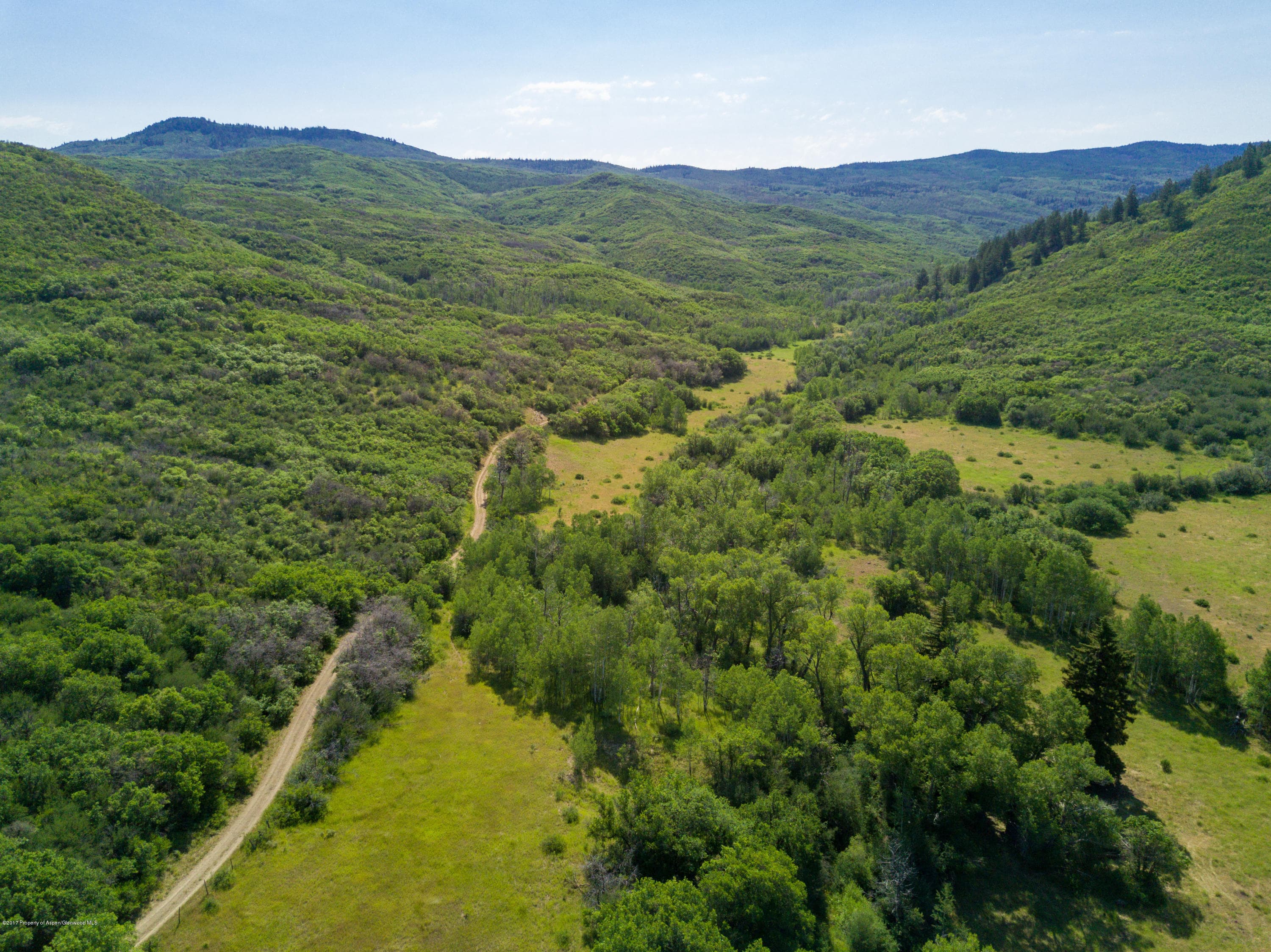 TBD County Road 312, New Castle, CO 81647 - Photo 6