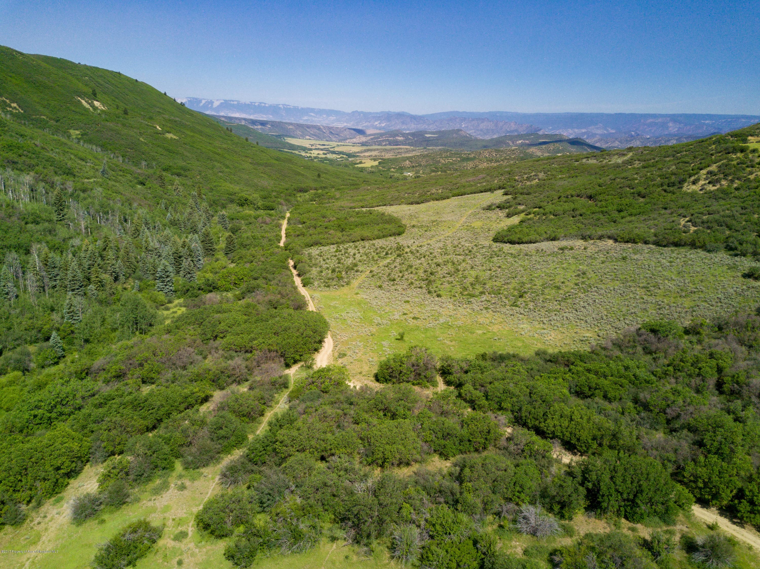 TBD County Road 312, New Castle, CO 81647 - Photo 7