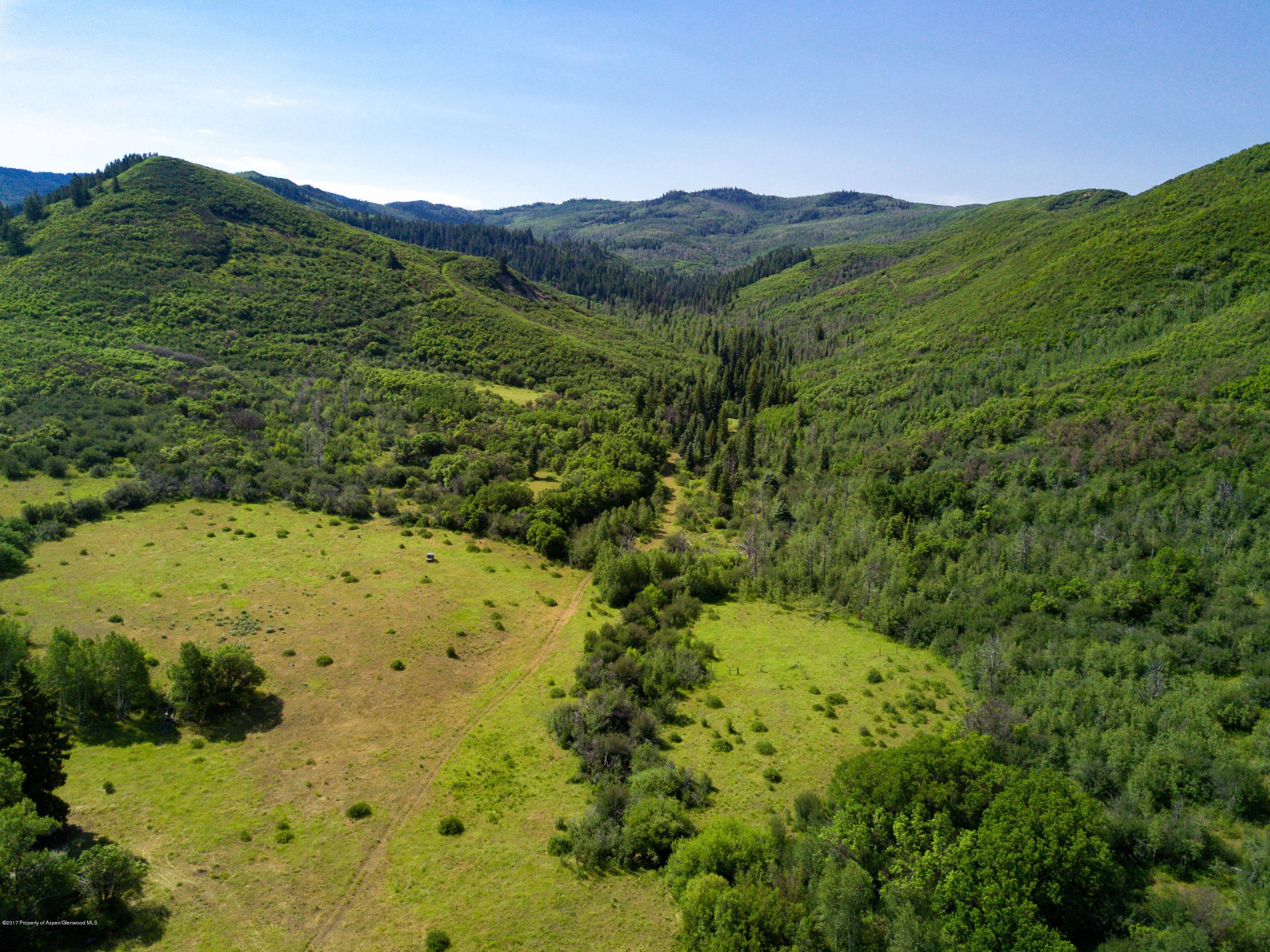 TBD County Road 312, New Castle, CO 81647 - Photo 8